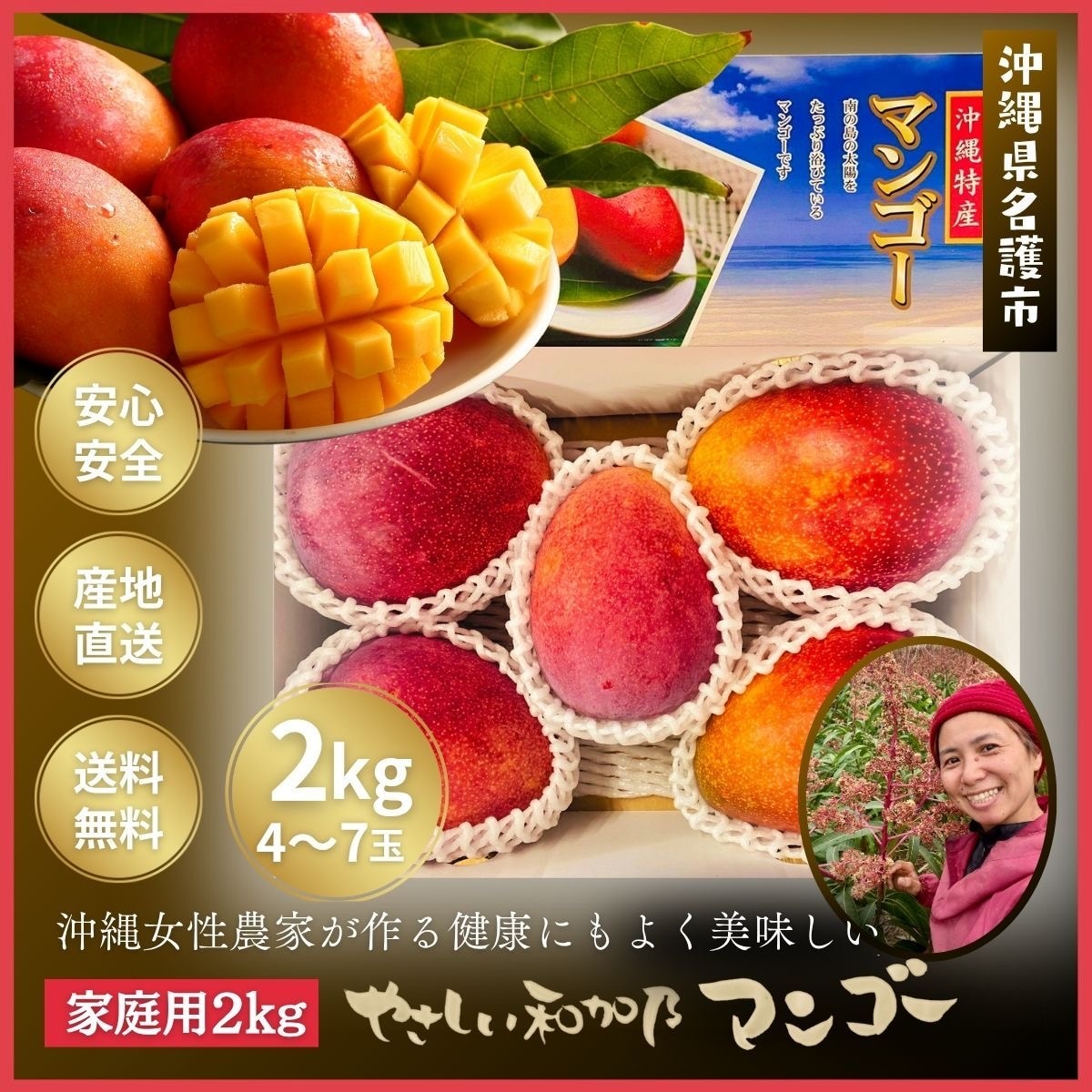 摘果マンゴー 51I2gta4Z0L._UF350,350_QL50_.jpg