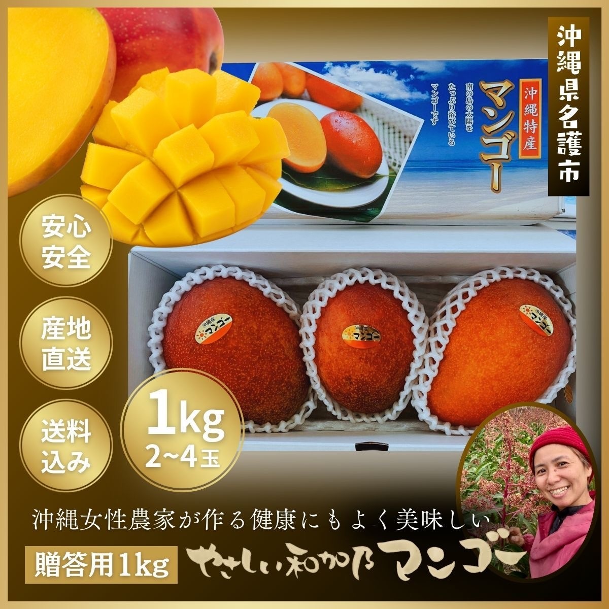 マンゴーの傷みを確認してもらうため マンゴーの傷みを確認してもらうため