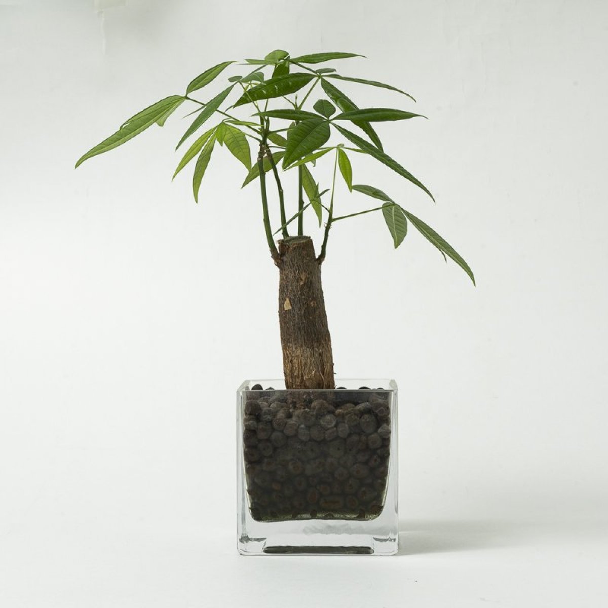 ECサイト商品撮影（8商品以内）