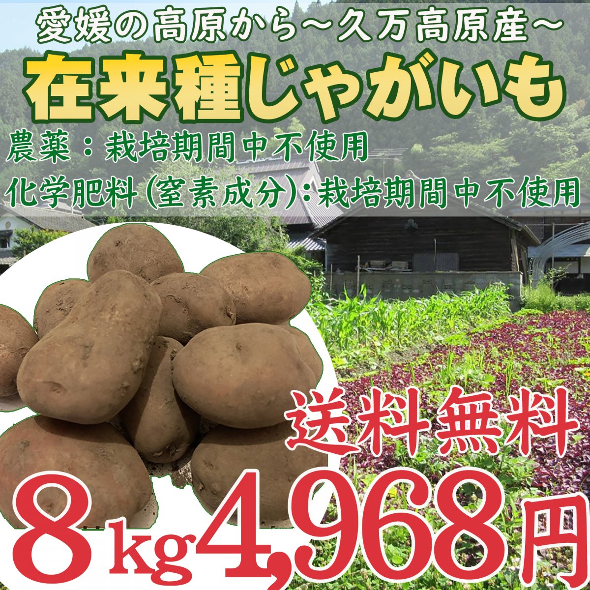 じゃがいも 8キロ 愛媛県久万高原産 農薬不使用 化学肥料(窒素成分) 栽培期間中不使用 在来種 地いも 野菜