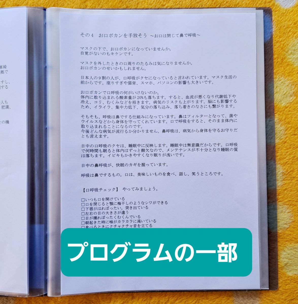 手放し上手になって、ぐっすり快眠プログラム ～生活改革編～