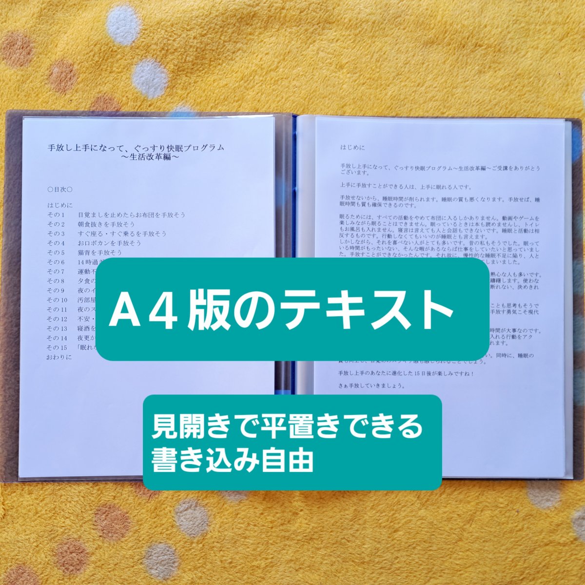 手放し上手になって、ぐっすり快眠プログラム ～生活改革編～