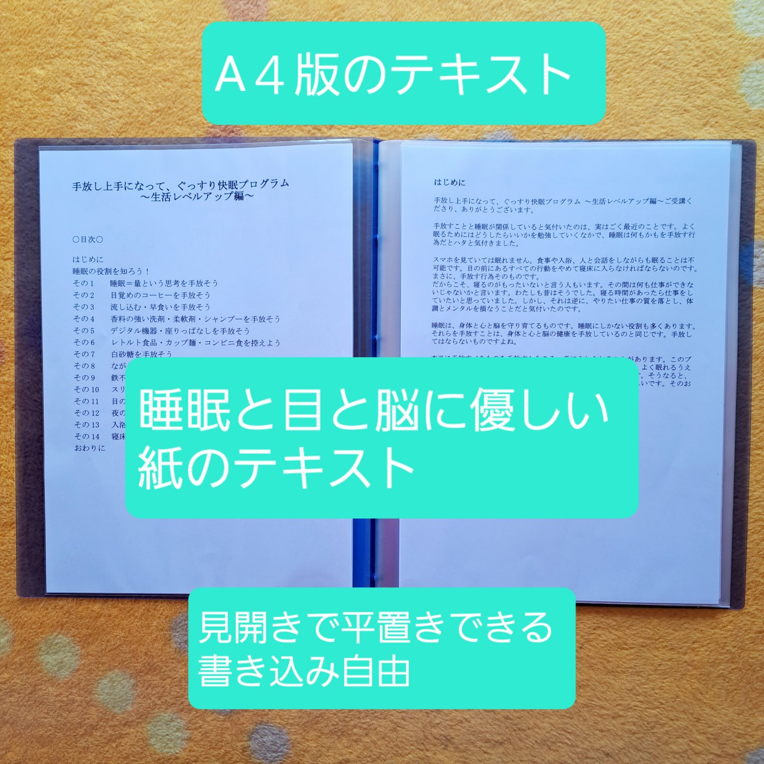 手放し上手になってぐっすり快眠プログラム ～生活レベルアップ編～