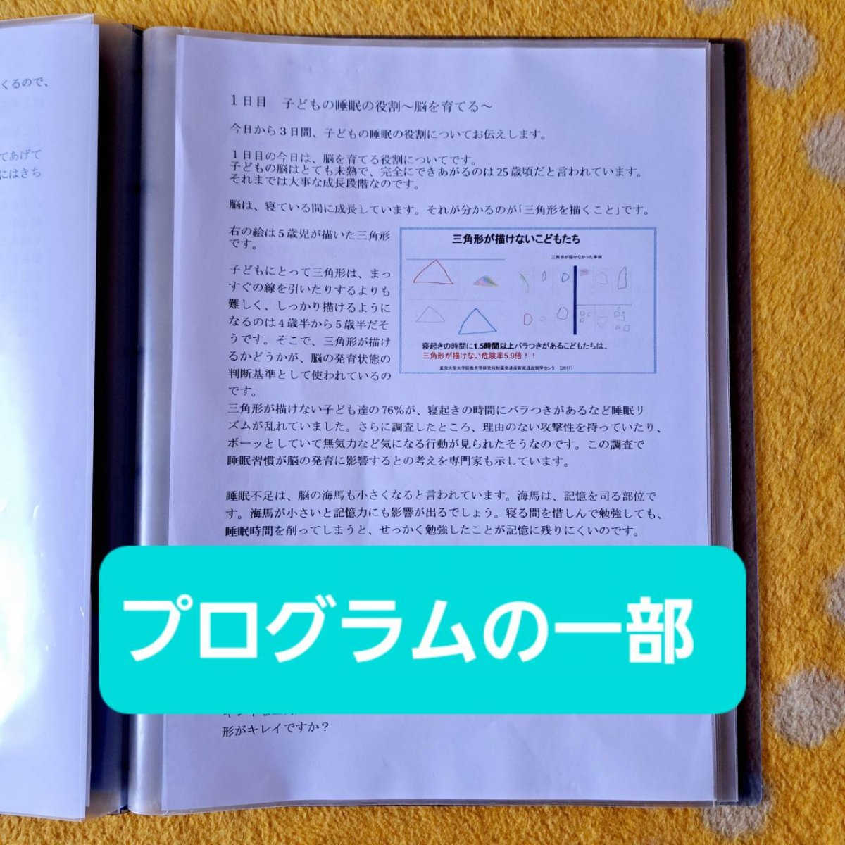 生活リズムを整えて子どもの睡眠力を上げる【子ども快眠プログラム～ベーシック】