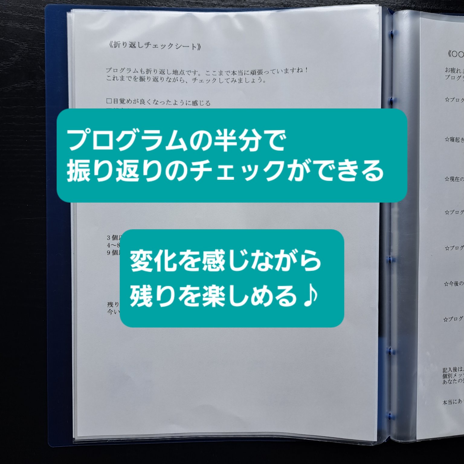 手放し上手になって、ぐっすり快眠プログラム ～生活改革編～