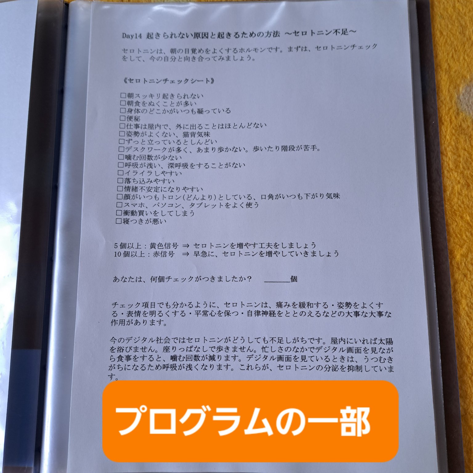 朝が苦手なあなたへ【起きたい時間に起きられるようになる目覚めスッキリ快眠プログラム】