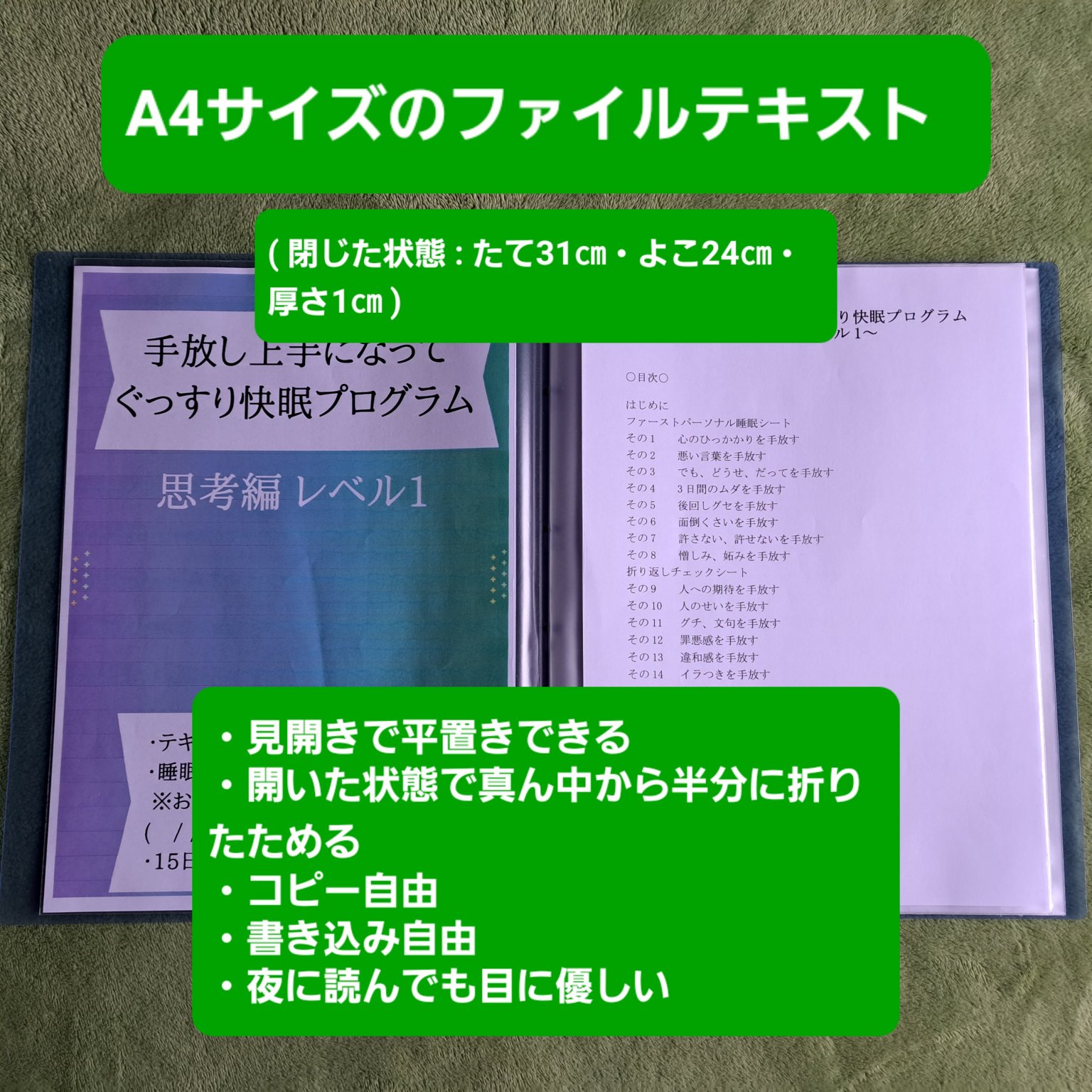 手放し上手になって、ぐっすり快眠プログラム ～ 思考編 レベル1 ～