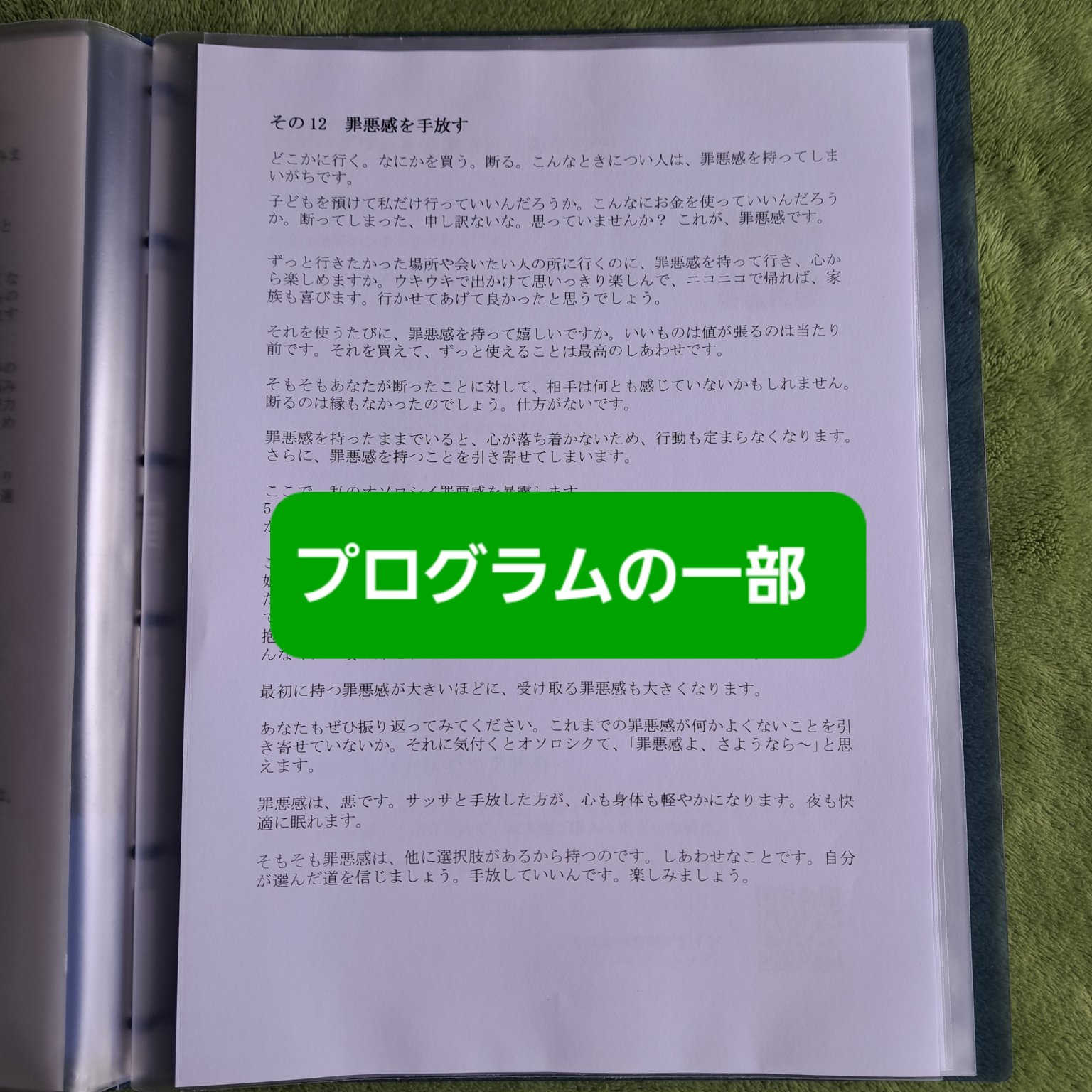 手放し上手になって、ぐっすり快眠プログラム ～ 思考編 レベル1 ～