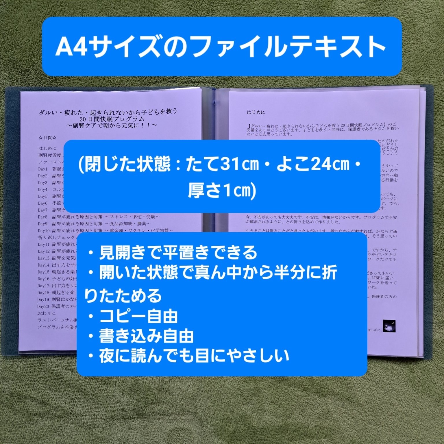 【ダルい・疲れた・起きられないから子どもを救う！20日間快眠プログラム ～副腎ケアで朝から元気に！！～】