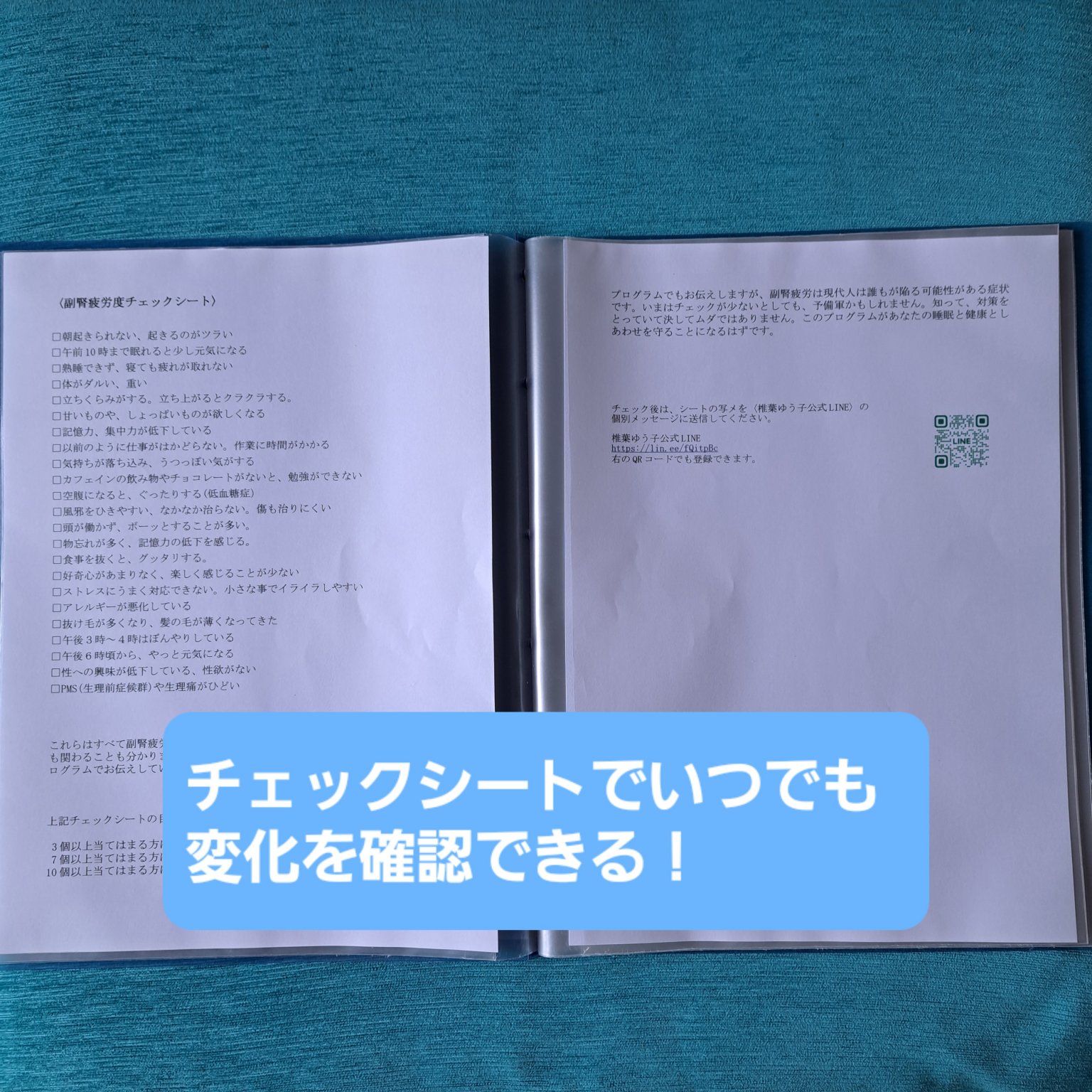 【寝ても寝てもとれない疲れをとる 20日間ぐっすり快眠プログラム ～副腎ケアで目覚めスッキリ！～】