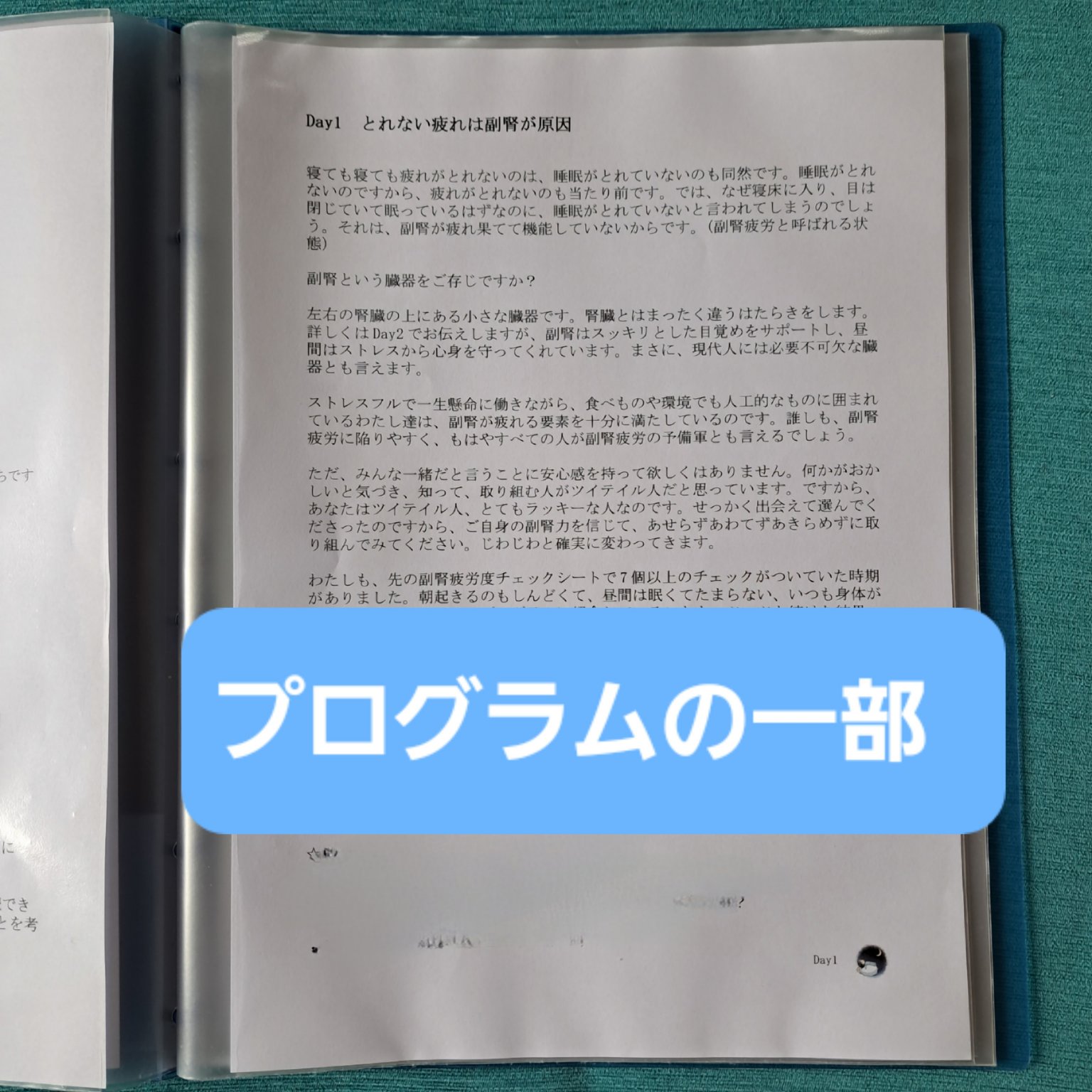 【寝ても寝てもとれない疲れをとる 20日間ぐっすり快眠プログラム ～副腎ケアで目覚めスッキリ！～】