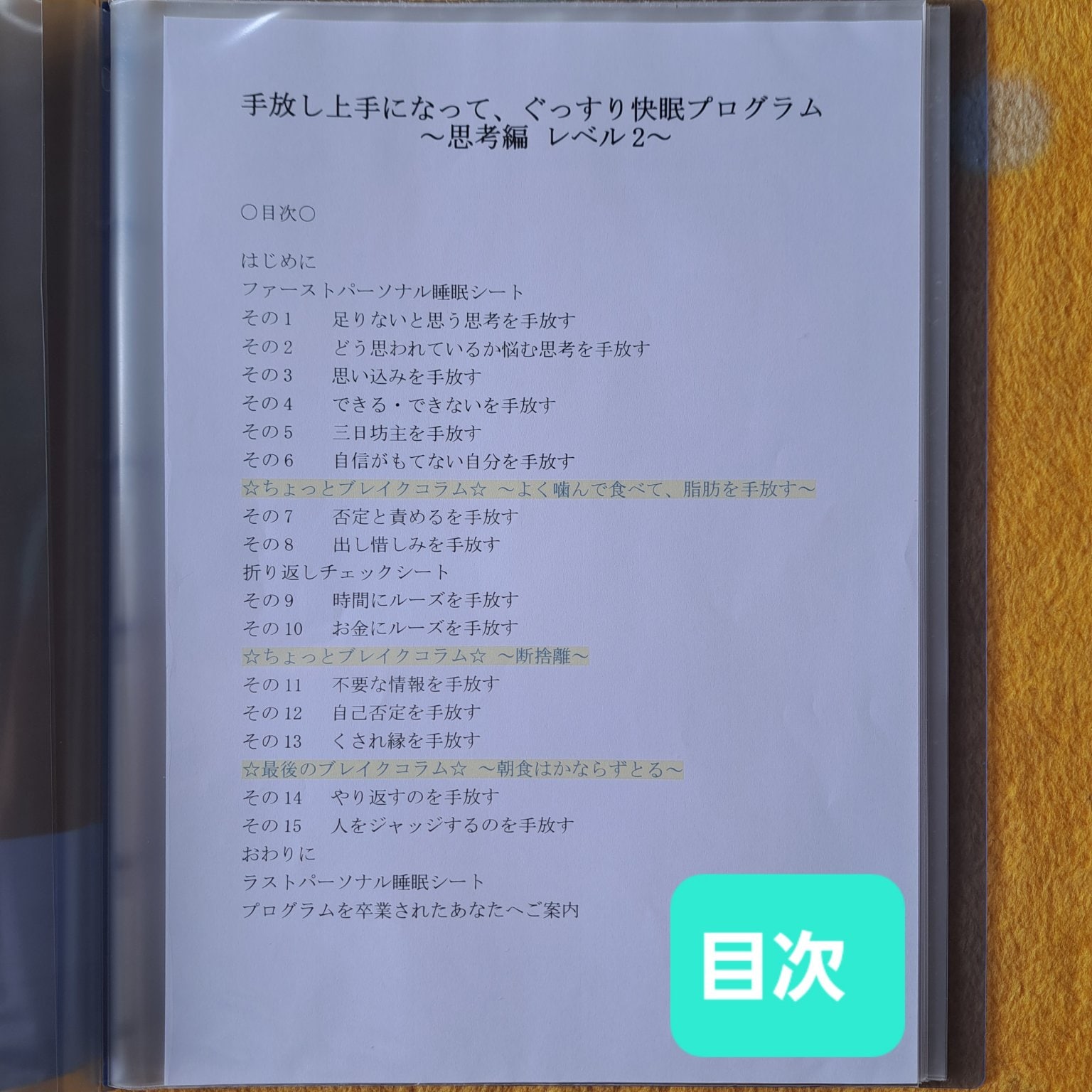 手放し上手になって、ぐっすり快眠プログラム ～ 思考編 レベル2～