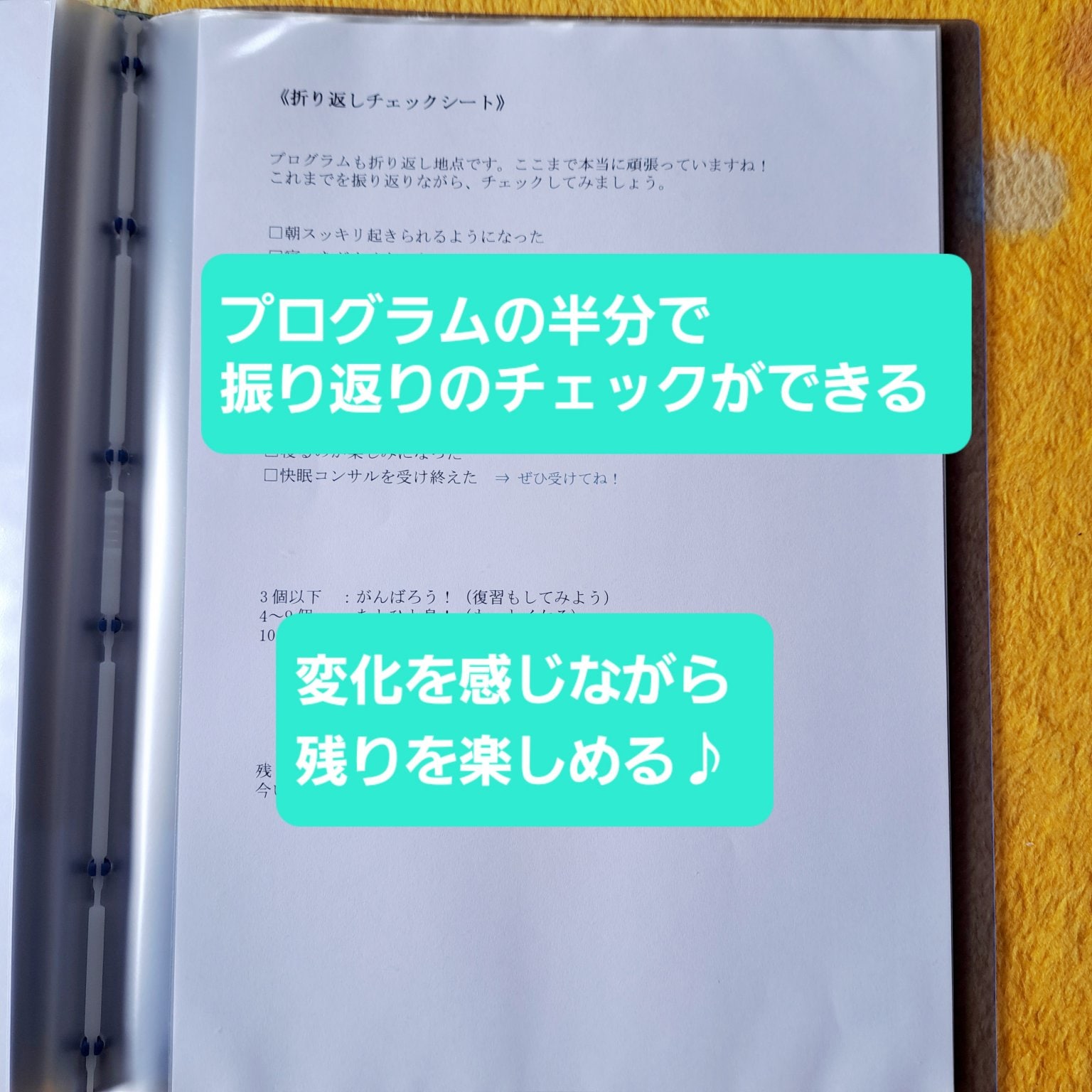 手放し上手になって、ぐっすり快眠プログラム ～ 思考編 レベル2～