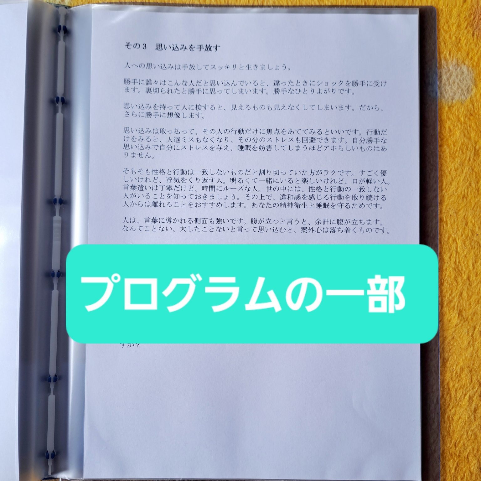 手放し上手になって、ぐっすり快眠プログラム ～ 思考編 レベル2～