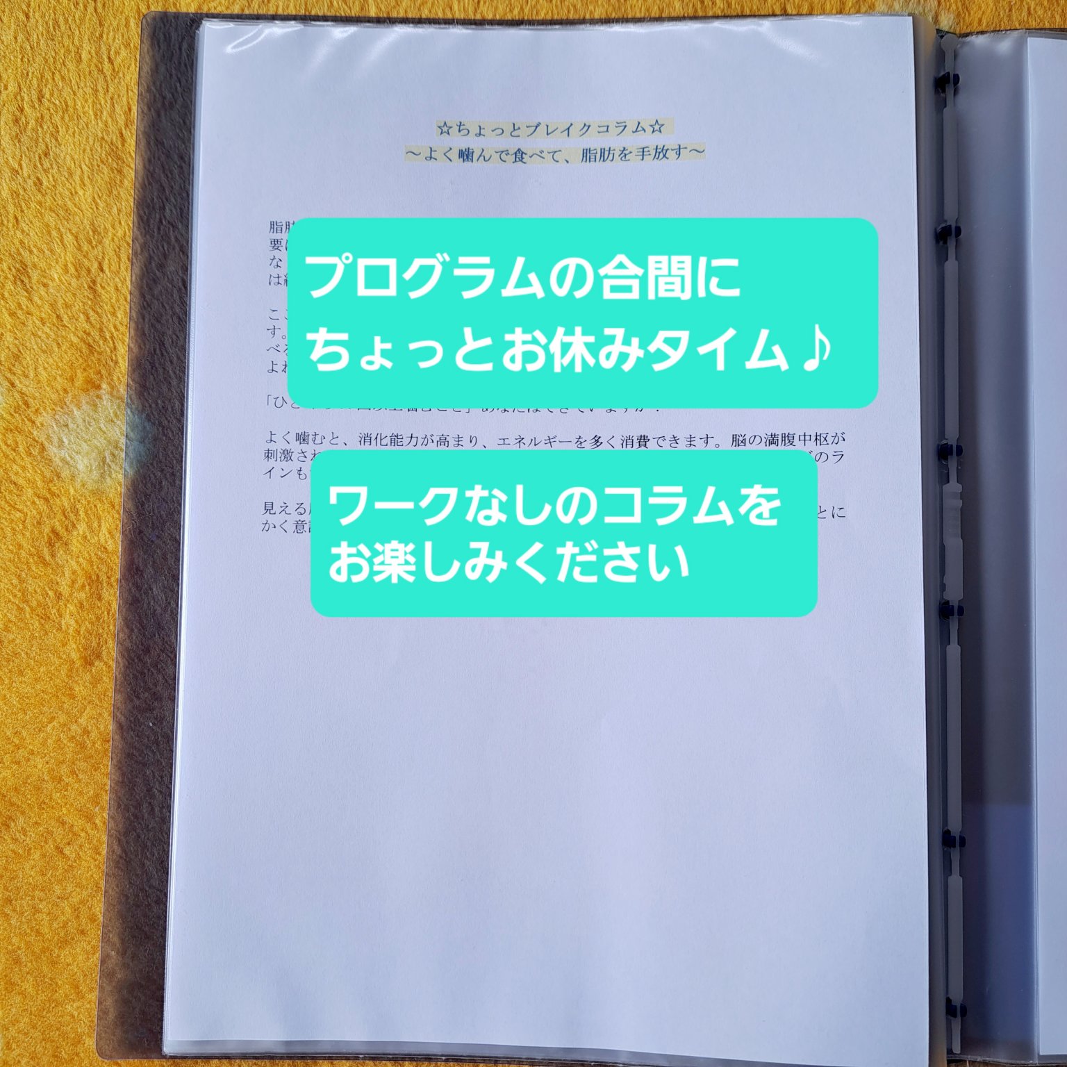 手放し上手になって、ぐっすり快眠プログラム ～ 思考編 レベル2～