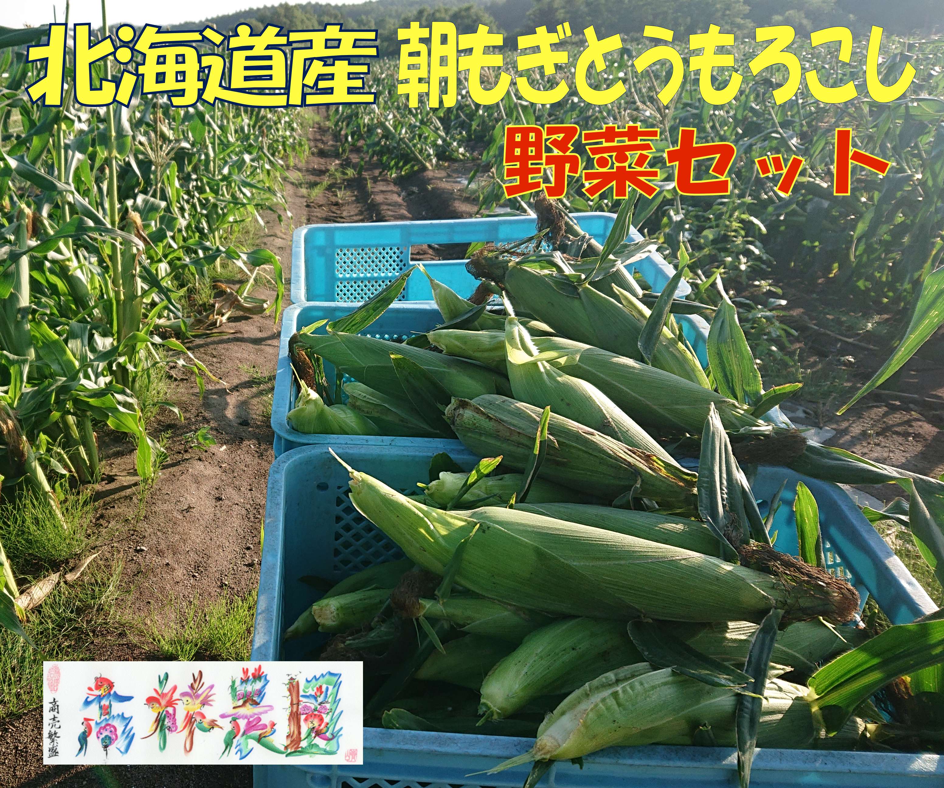 詰合せ]とうもろこし15本と旬の野菜セット 北海道産 朝もぎを