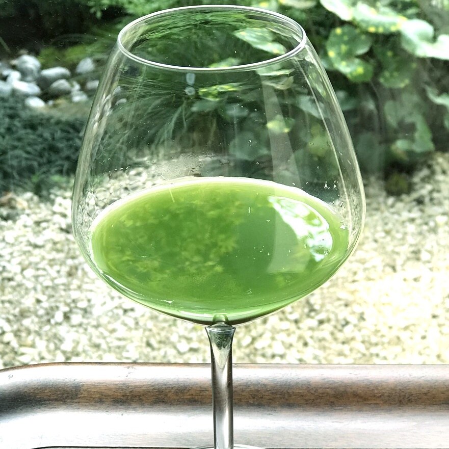 2024 新茶 お茶の堀野園 八女深むし煎茶「初薫」（はつかほり