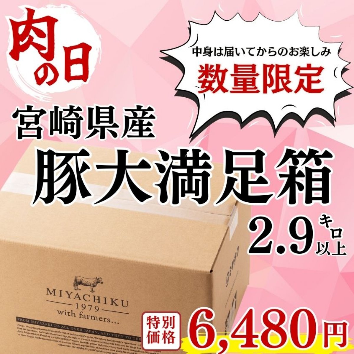 【肉の日】宮崎県産豚大満足BOX計2.9kg以上｜肉 豚肉 豚肉 焼肉 とんかつ しゃぶ ｜ミヤチク