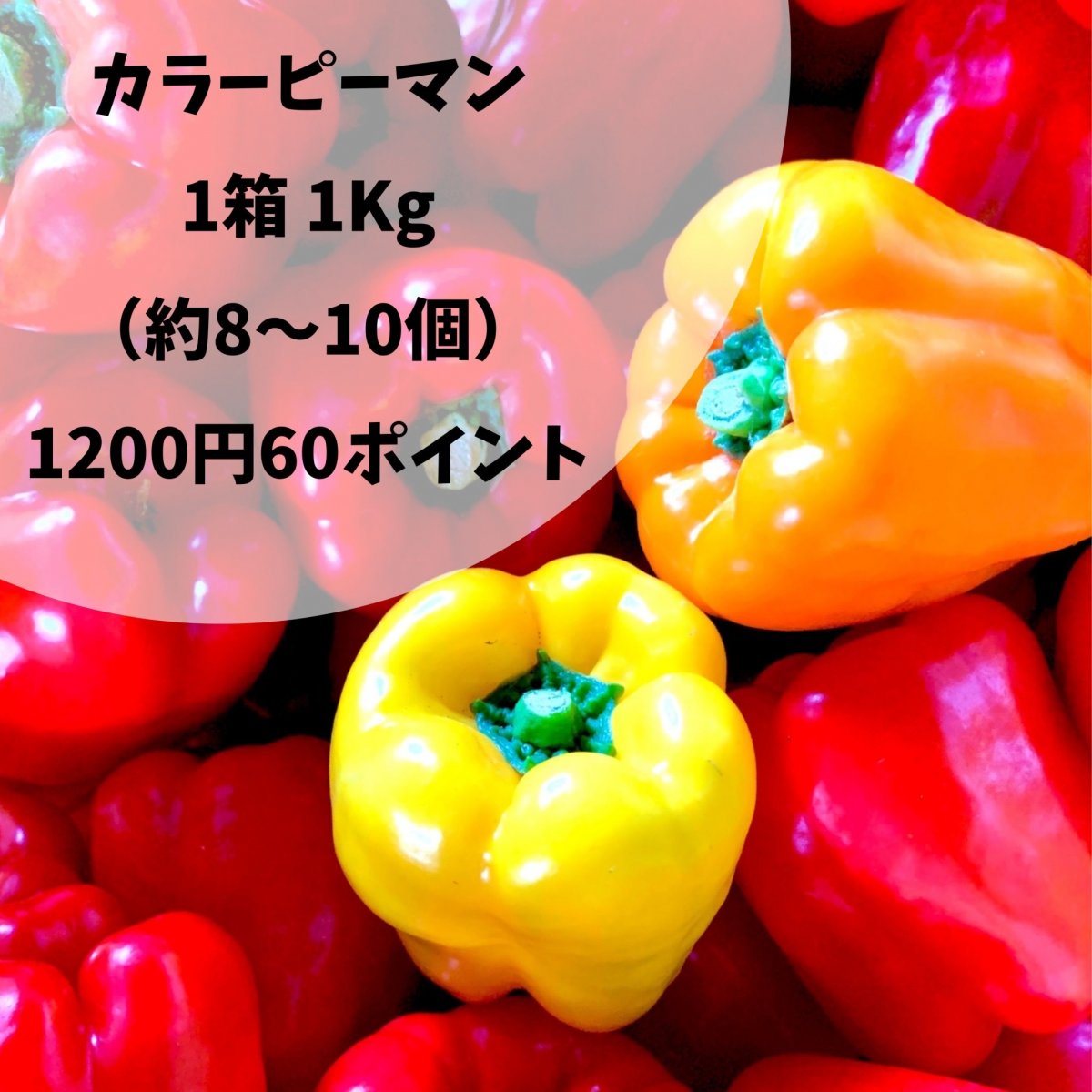 カラーピーマン(訳あり)赤(多め)黄橙/1キロ(8~10個)