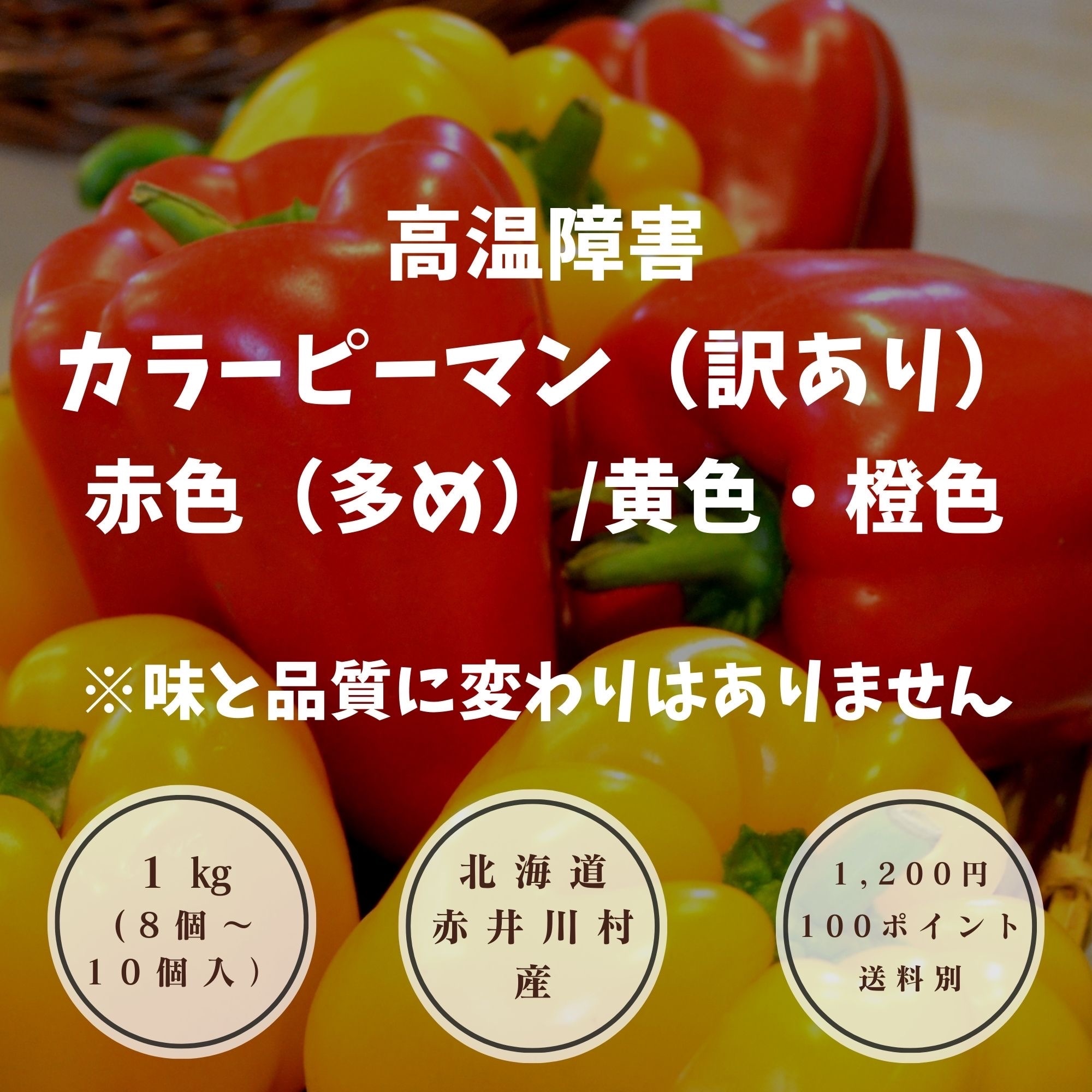 高温障害】カラーピーマン(訳あり)赤(多め)黄橙/1キロ(8~10個