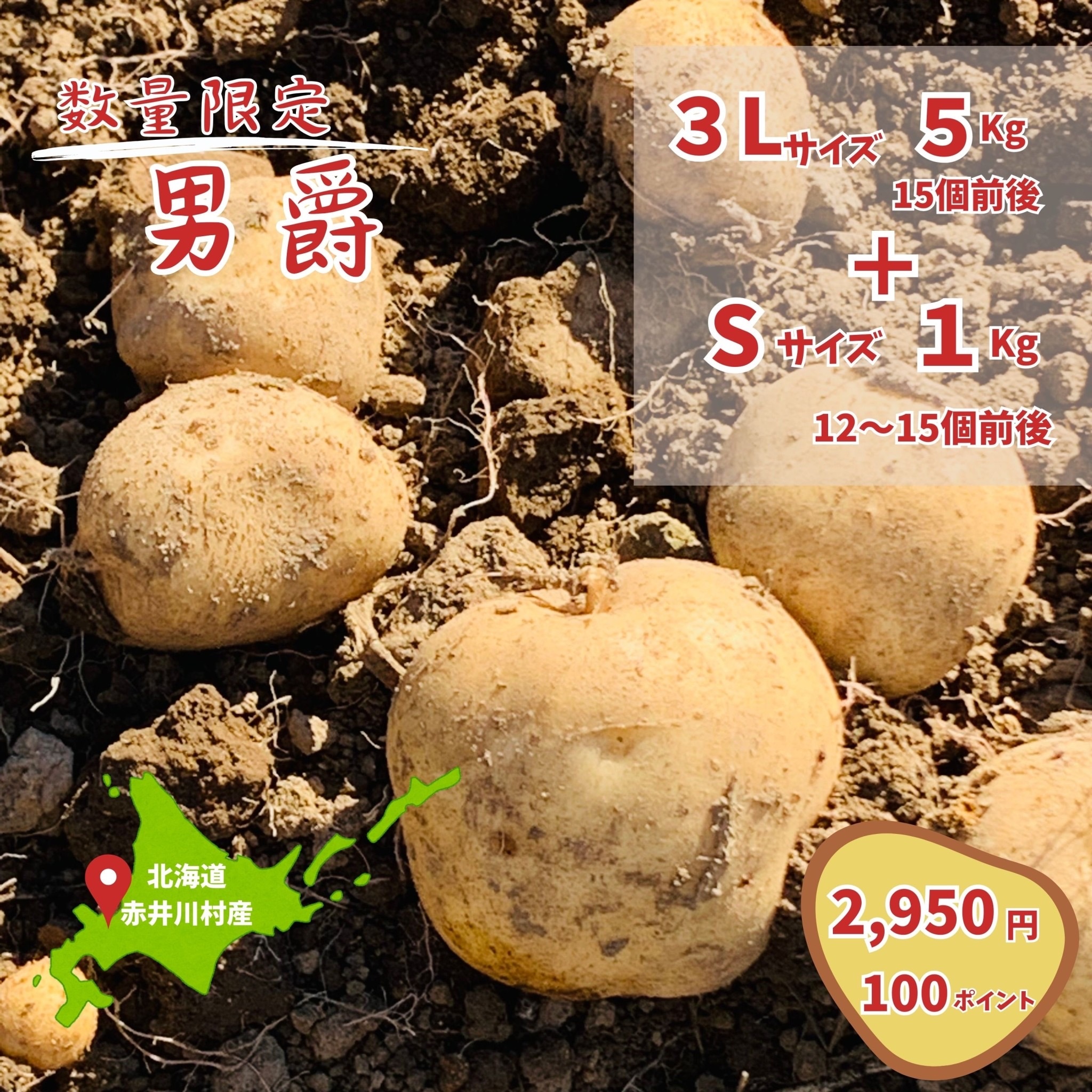 ジャンボサイズ　数量限定　じゃがいも　30キロ　01 楽天市場】北海道 カラフルじゃがいも8種食べ比べセット 北海道