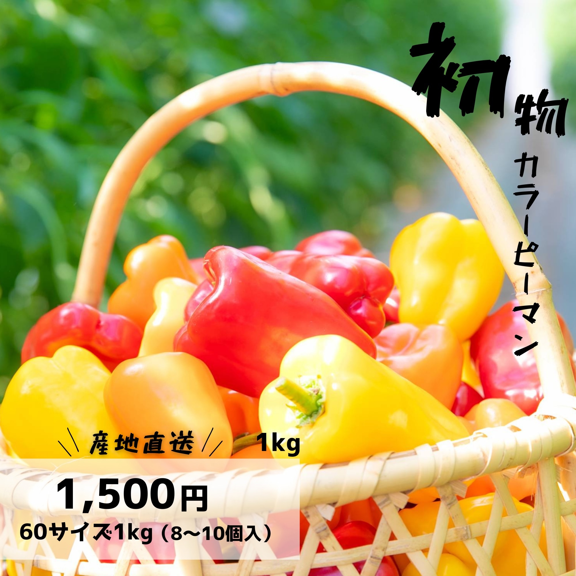 安心安全　完全無農薬　ピーマン　詰め合わせ item_20240802_220442_630_ORG.jpg