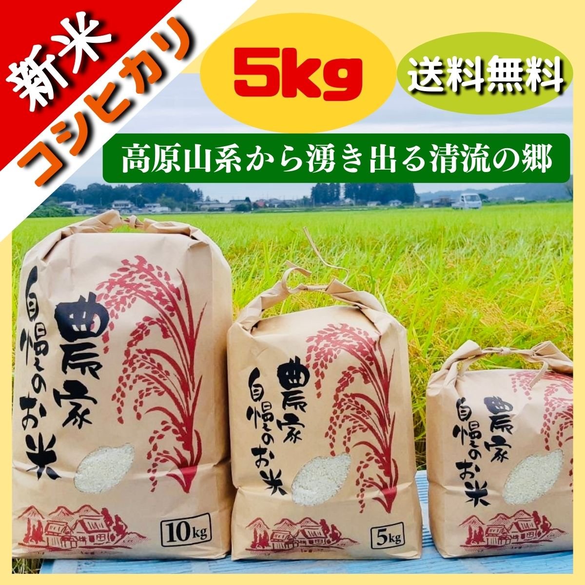 【新米こしひかり販売】令和４年産 新米コシヒカリ5K 送料無料｜白米・玄米・無洗米