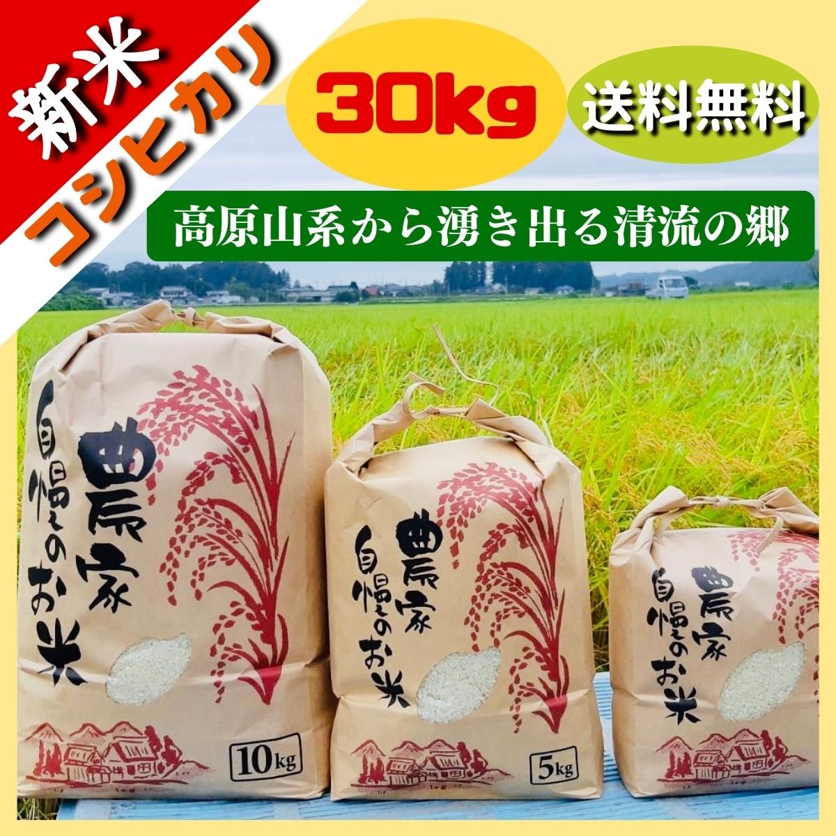 【新米こしひかり販売】令和４年産 新米コシヒカリ30K 送料無料｜白米・玄米・無洗米