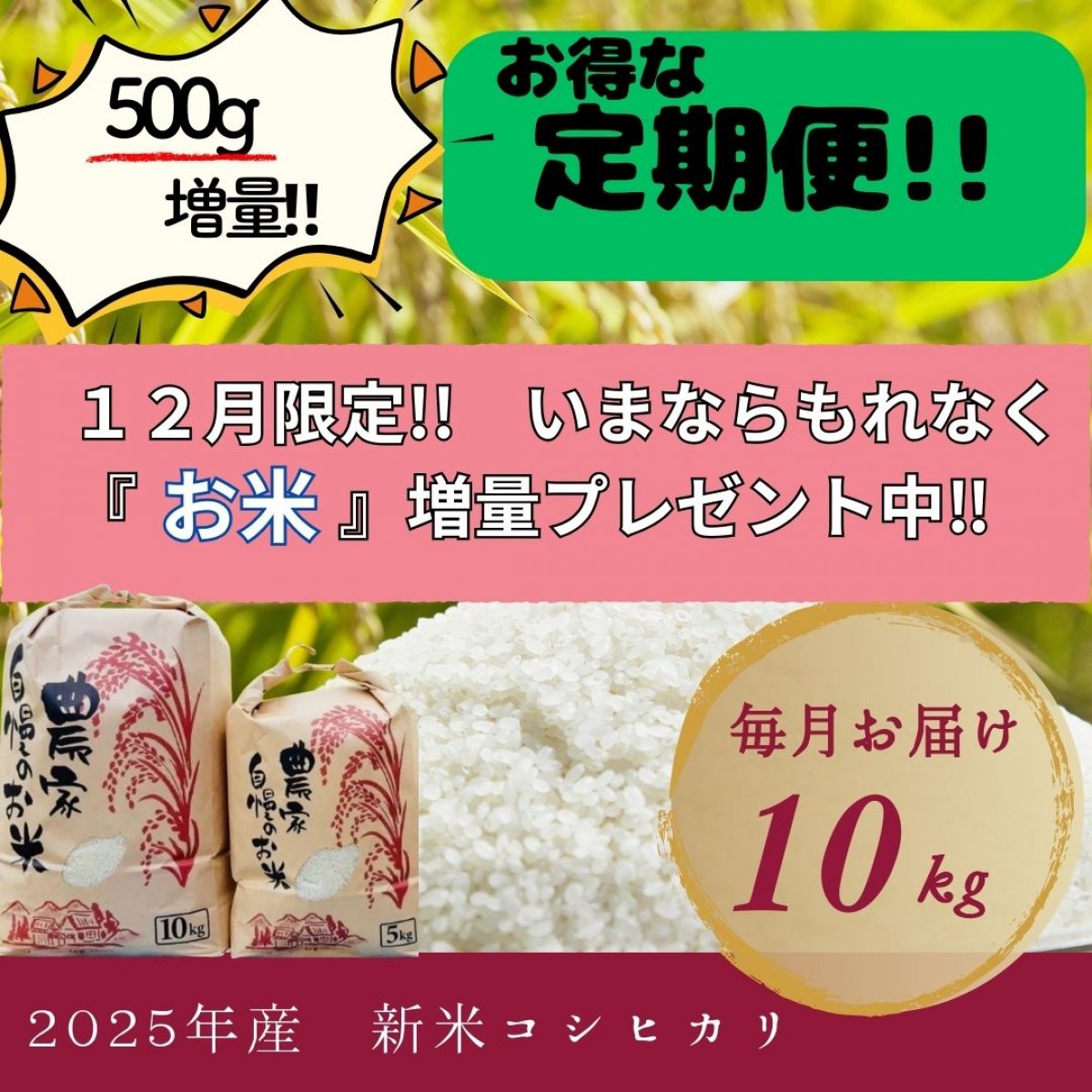 美味い米通販 産地直送 米米坊や！！