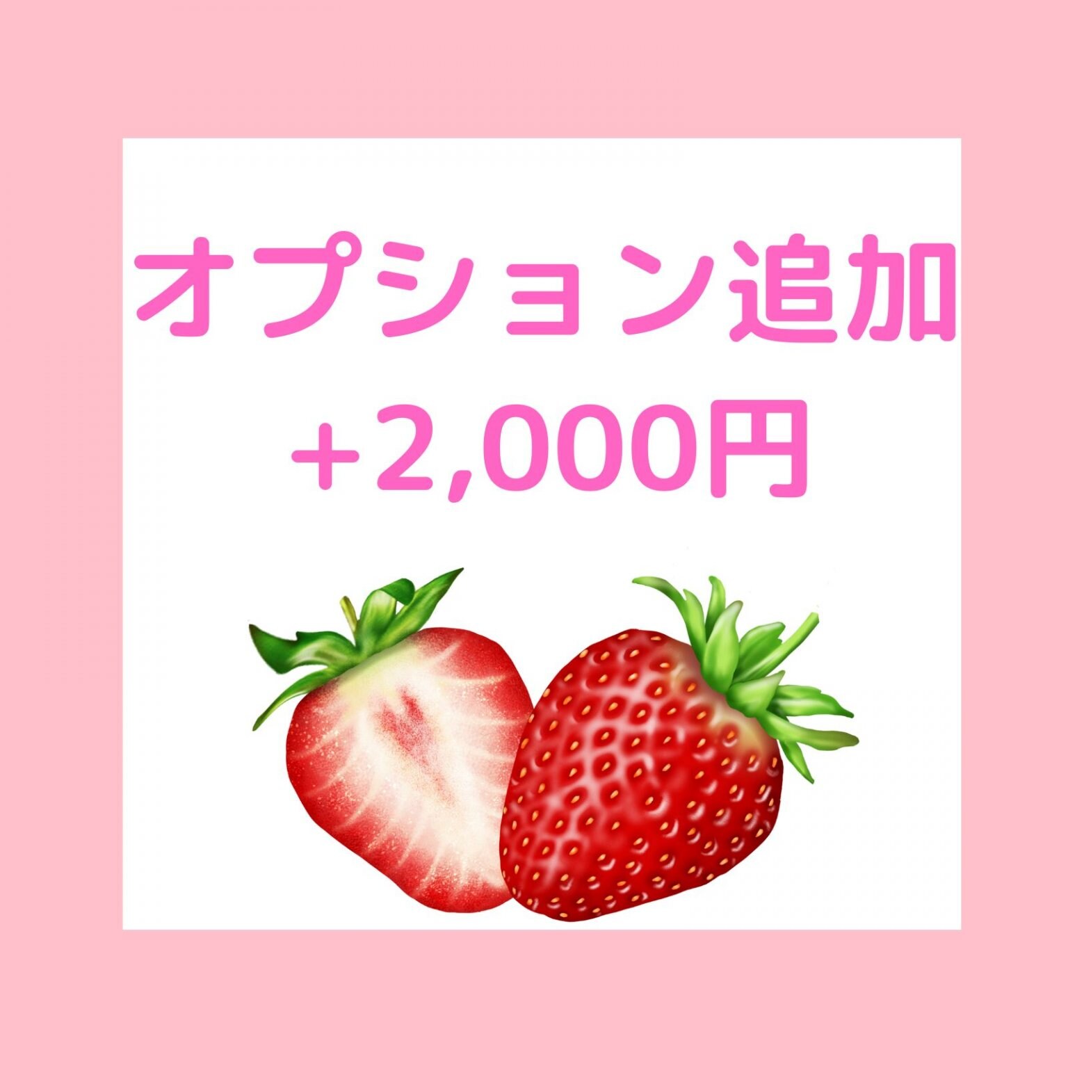オプション追加　+2000円