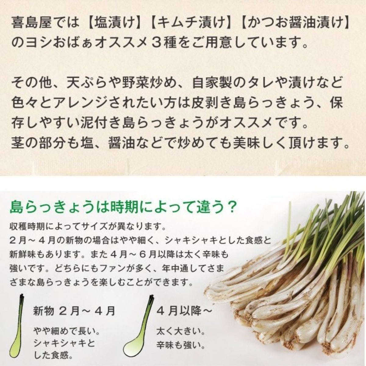 ヨシおばぁの手作り 島ら 2種 塩漬け キムチ漬け 0g 各100ｇ らっきょう 沖縄 漬物