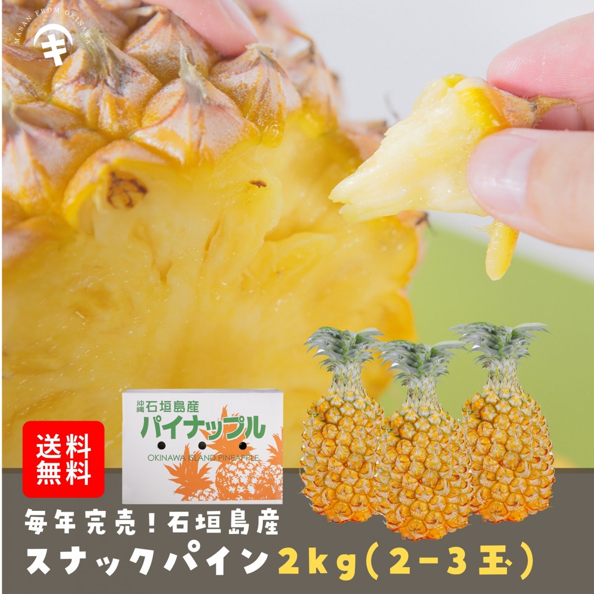 〈直売所コスパ最強〉沖縄県産Ｋおばーの島らっきょう 約2.4kg【常温便】① 直売所コスパ最強〉沖縄県産Kおばーの島らっきょう 約10kg