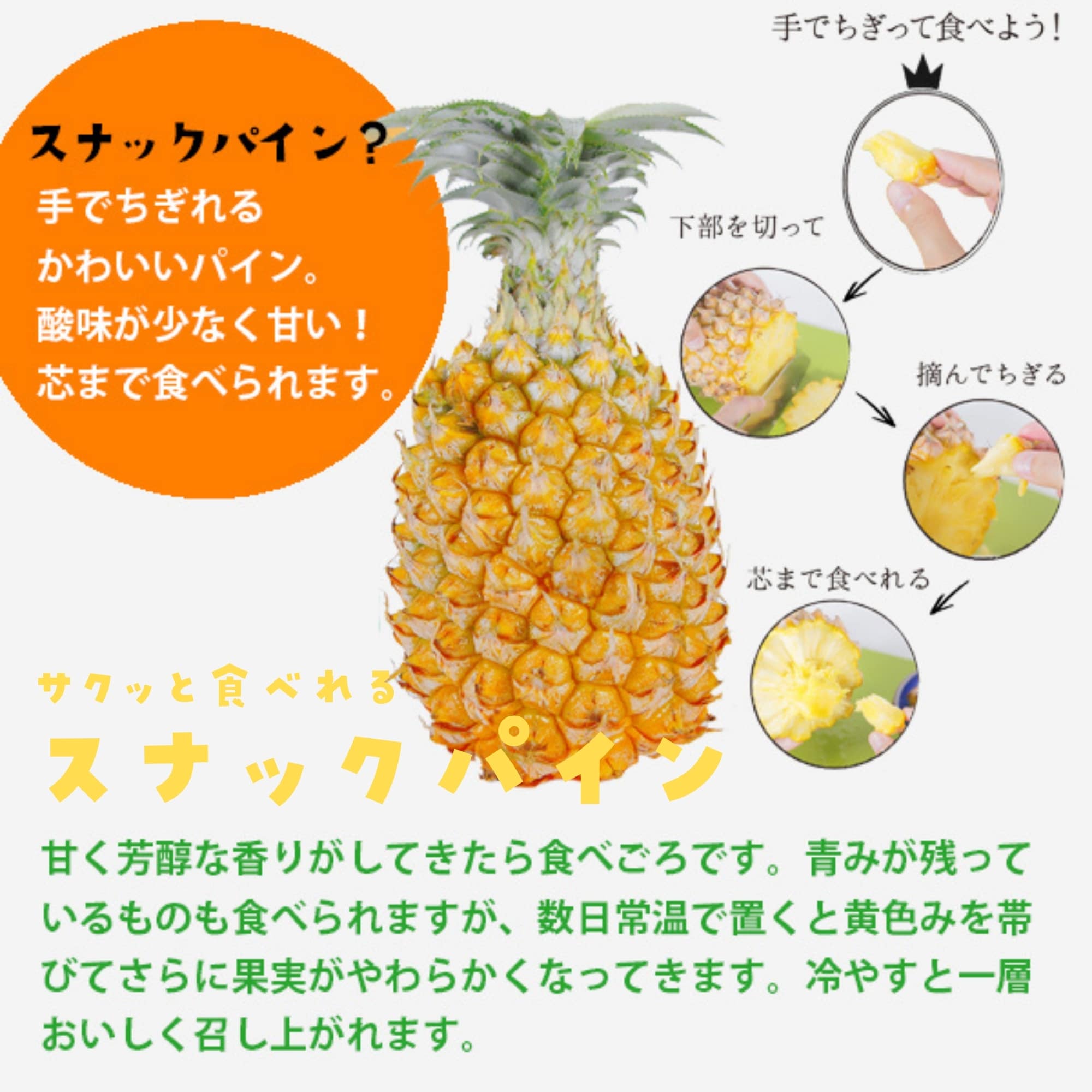 石垣島産　　特大スナックパイン 新商品＞石垣島産スナックパインのドライフルーツが販売スタート