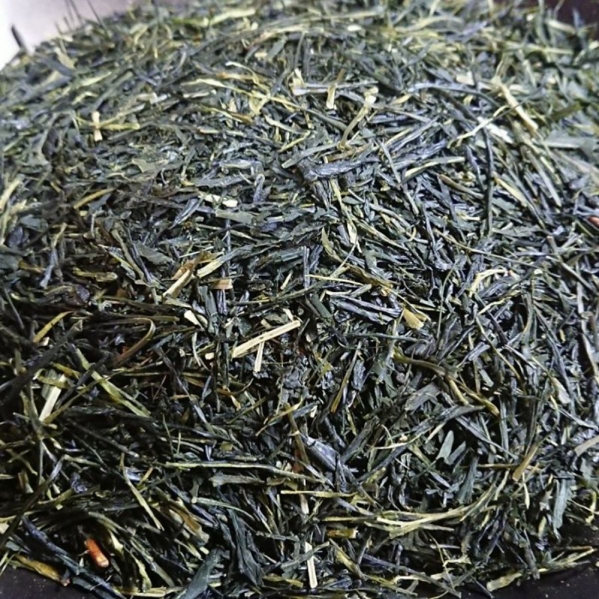 煎茶（2022）おくみどり 緑茶　加茂自然農園のお茶　茶葉　農薬・肥料不使用