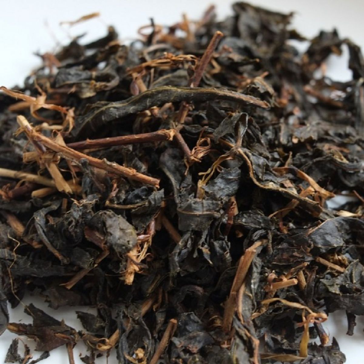 後発酵茶（2021）乳酸発酵 農薬・肥料不使用 加茂自然農園のお茶