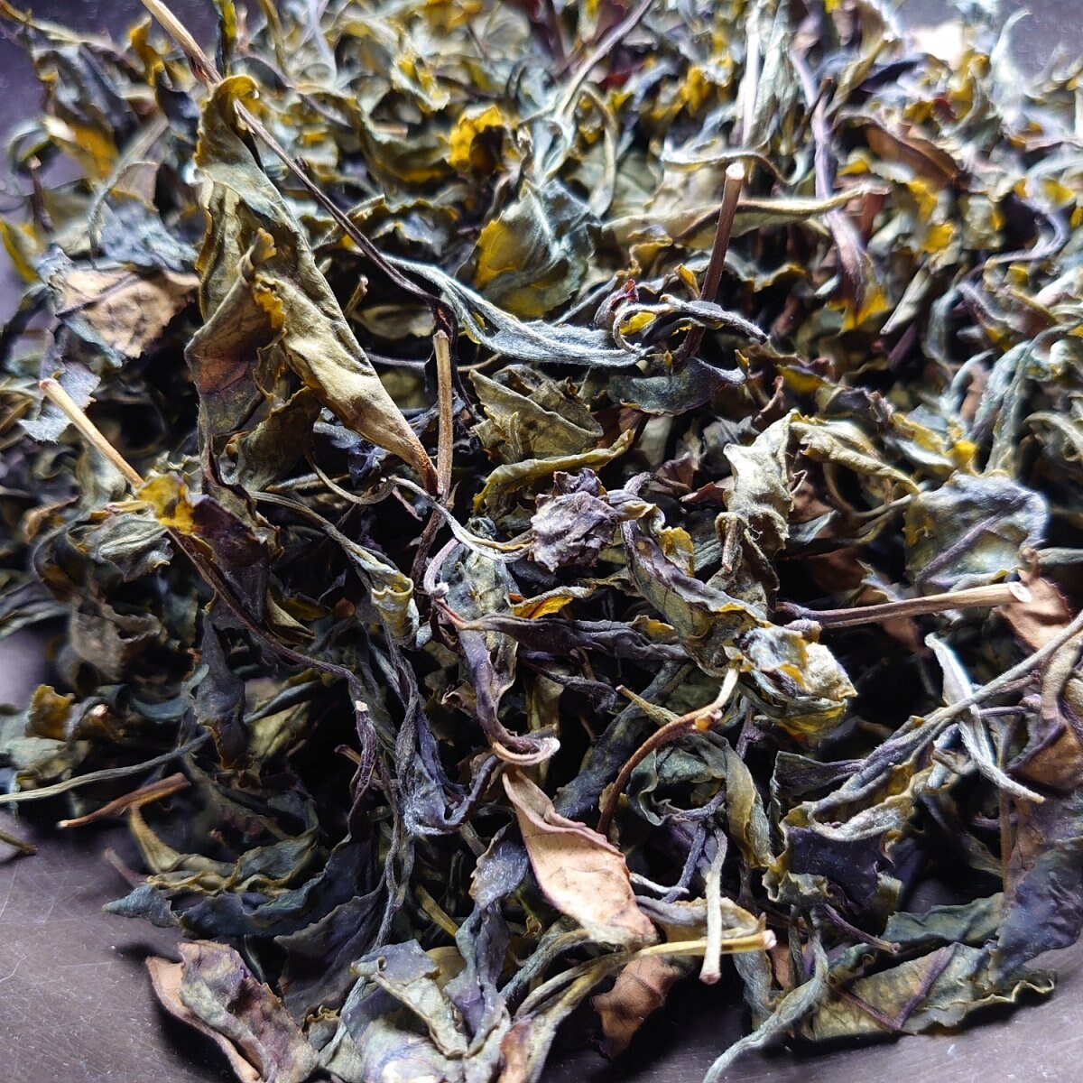 悶黄茶（もんおうちゃ）　(2023) やぶきた　日本産黄茶 農薬・肥料不使用 加茂自然農園のお茶