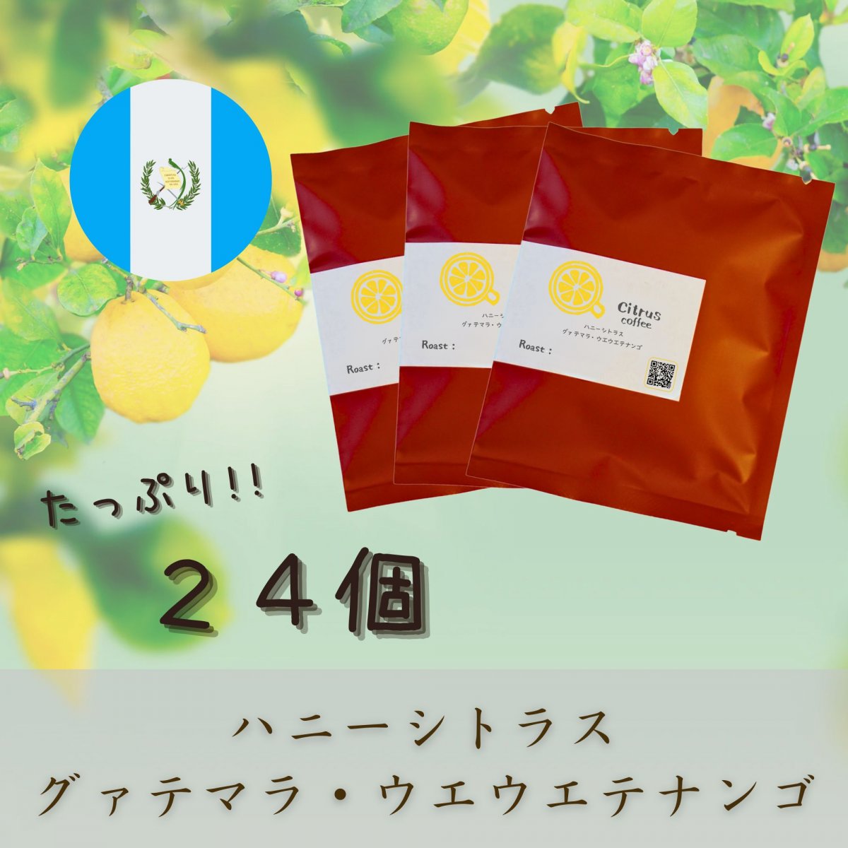 【ドリップバッグ24個】ハニーシトラス　グァテマラ・ウエウエテナンゴ｜スペシャルティコーヒー｜全国送料無料｜Citrus coffee