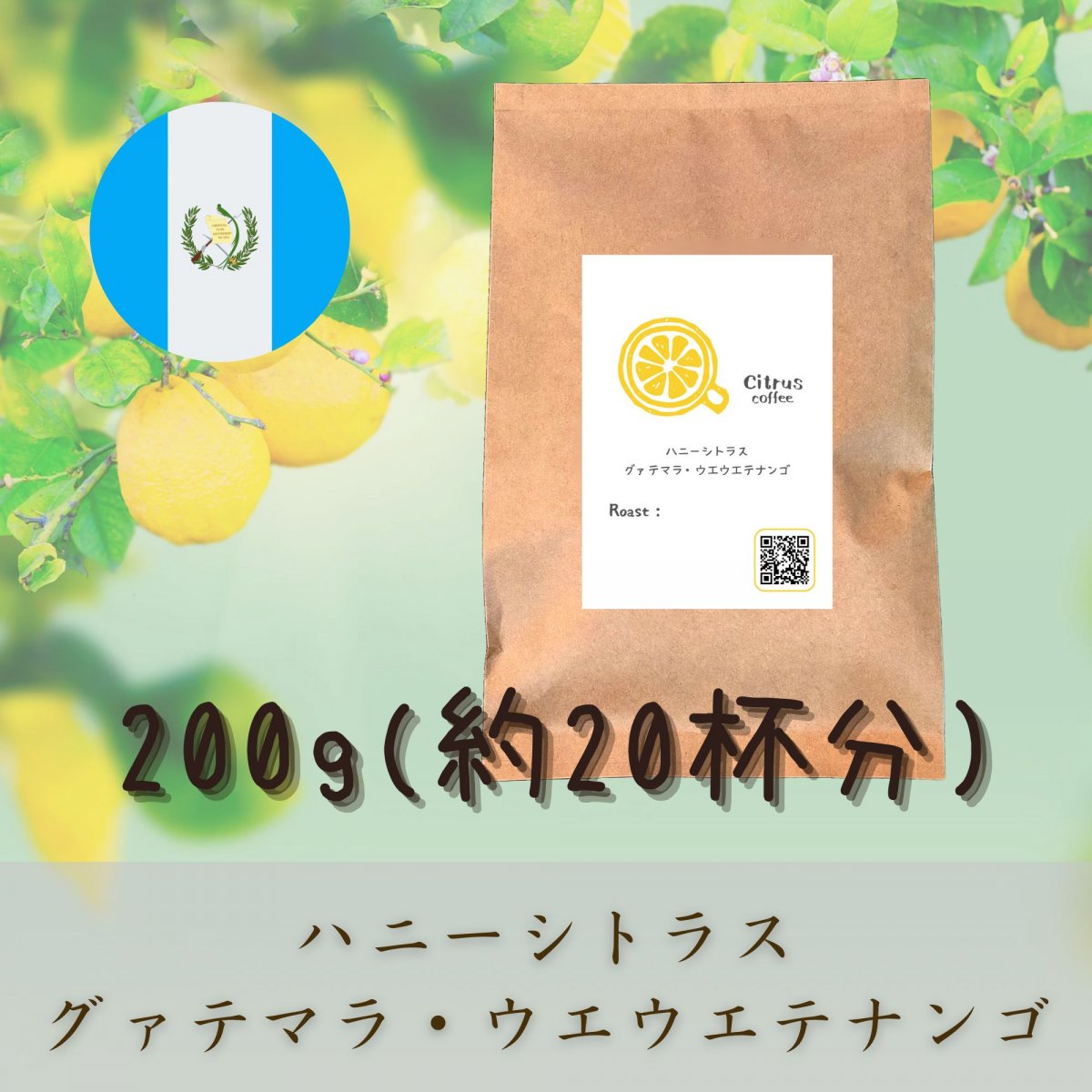 ハニーシトラス　グァテマラ・ウエウエテナンゴ｜豆または粉｜約20杯分｜全国送料無料｜Citrus coffee