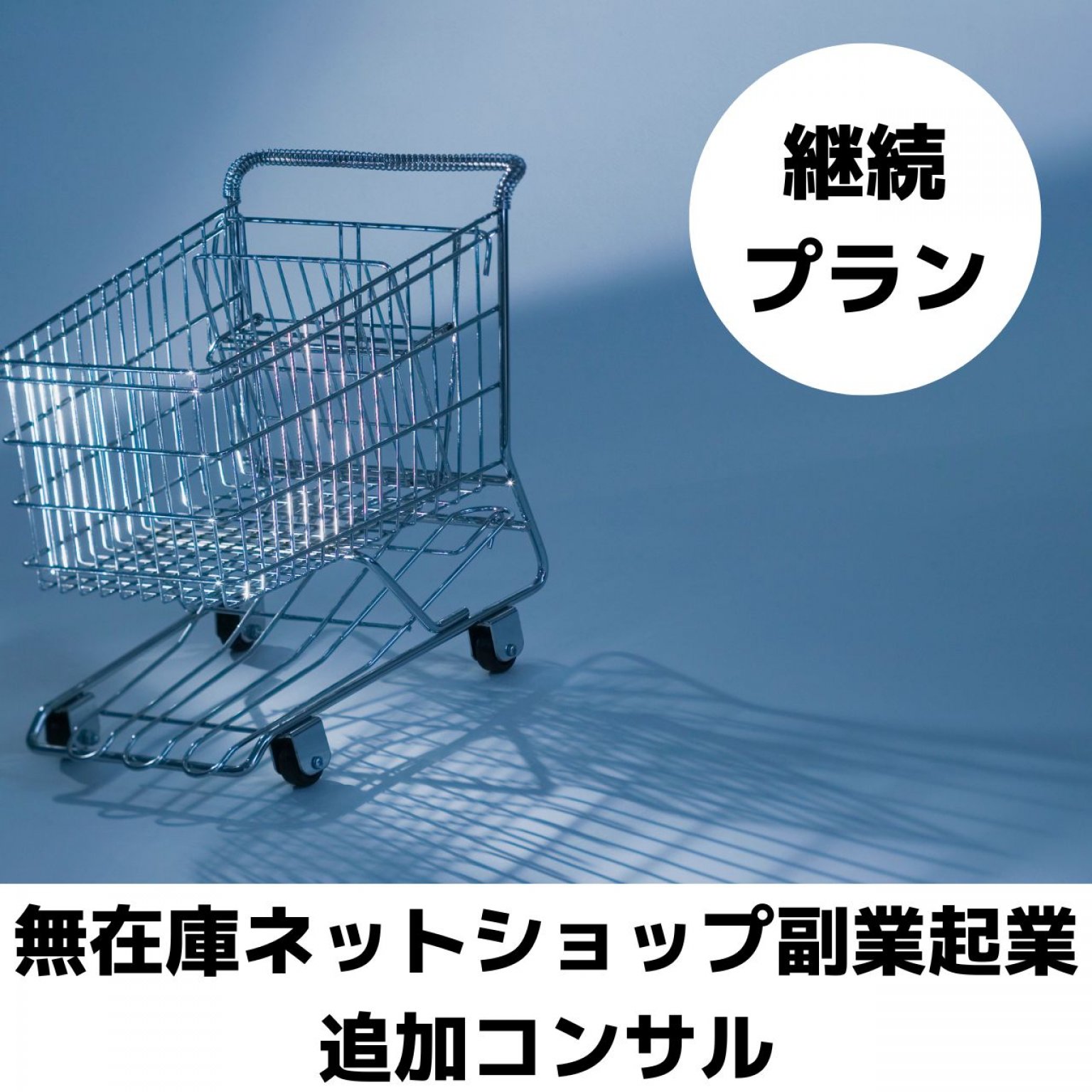 継続プラン　0期生特別追加コンサル