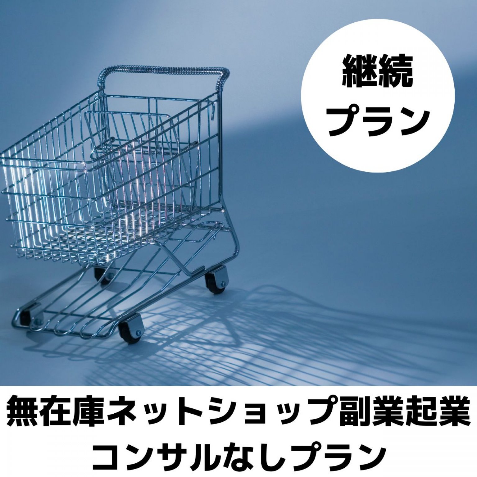 継続プラン　0期生特別コース（コンサルなし）