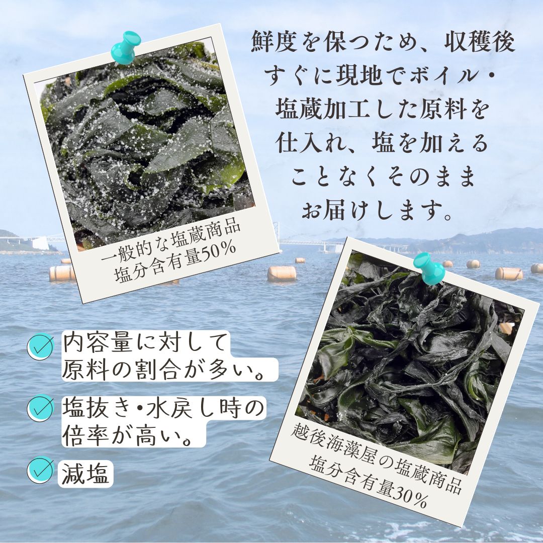 わかめさん専用　むやみに切なく BOX1.2 期間限定生産 漁師さんからのおすそわけ】新芽わかめ 300g(約100g×3袋
