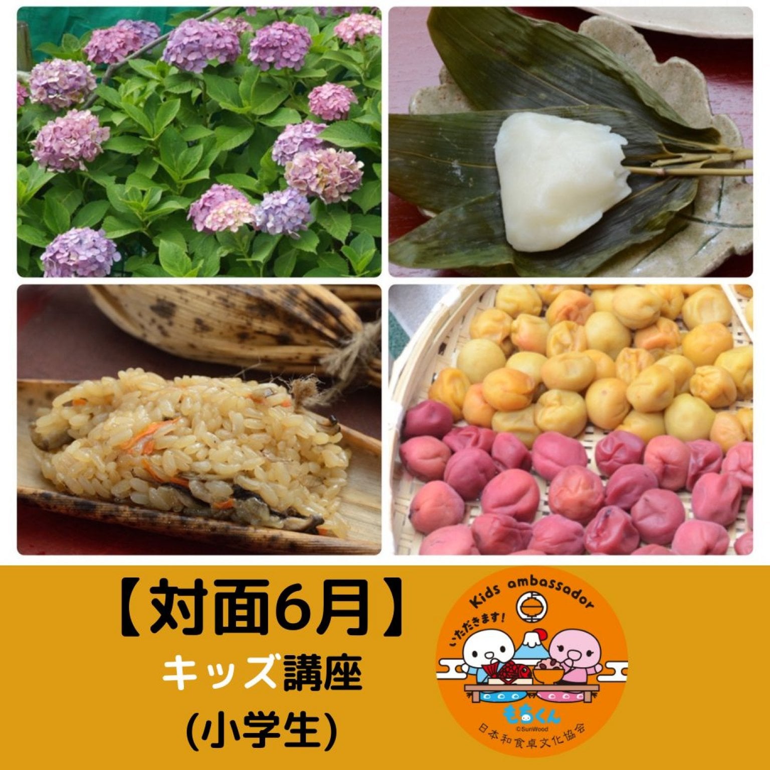 【6/7(土)と6/14(土) or 21(土)対面】和食卓育キッズ講座(小学生クラス)6月　２日間