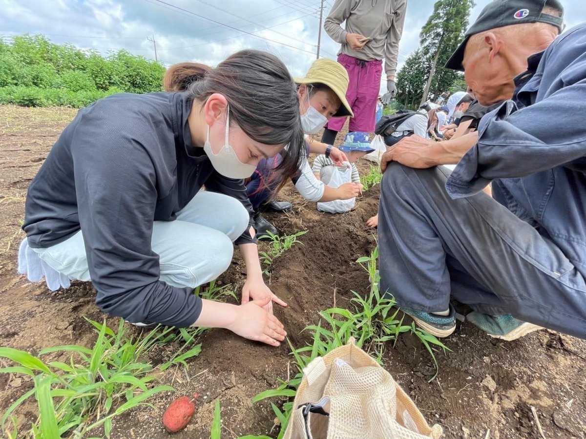 完一畑で収穫体験 q そうめん流しなど 中学生以上大人おひとり ご家族の場合のみ幼児は無料 完一やさい たがやす倶楽部 植物性の堆肥をメインにミネラルと微生物を大切に 野菜を育てています