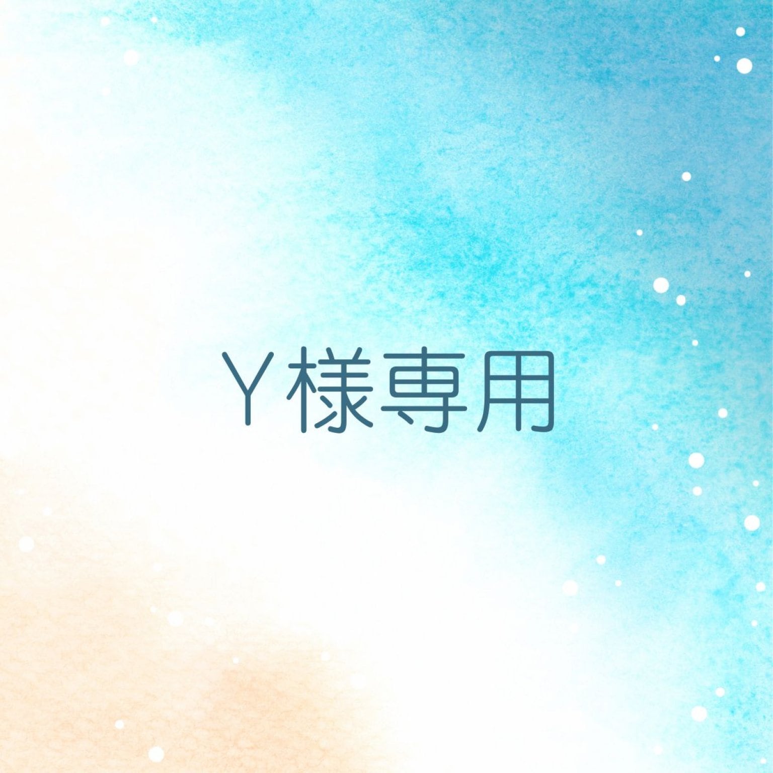 Y様専用