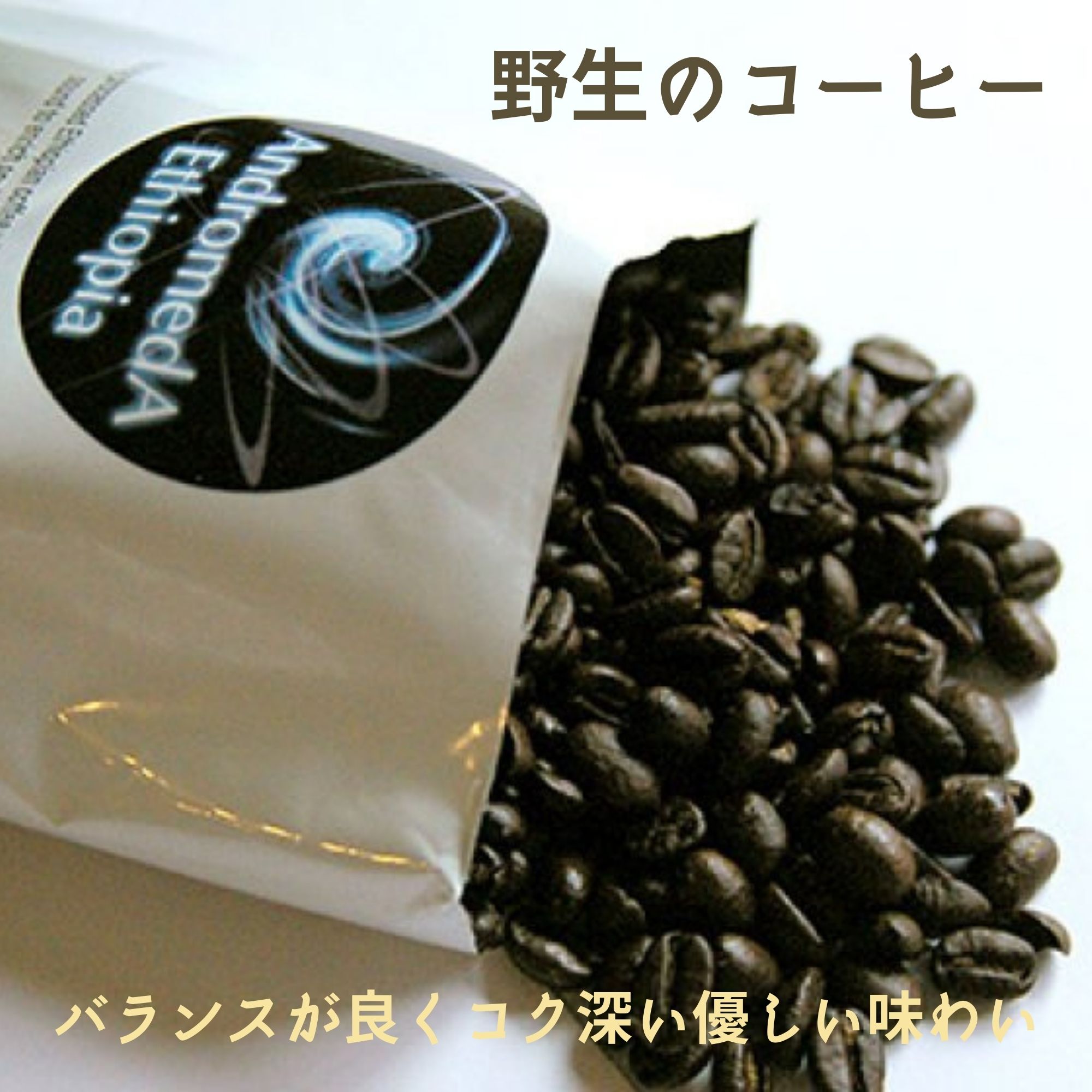 野生のコーヒー/アンドロメダエチオピアコーヒー〈リム〉コーヒー豆100g