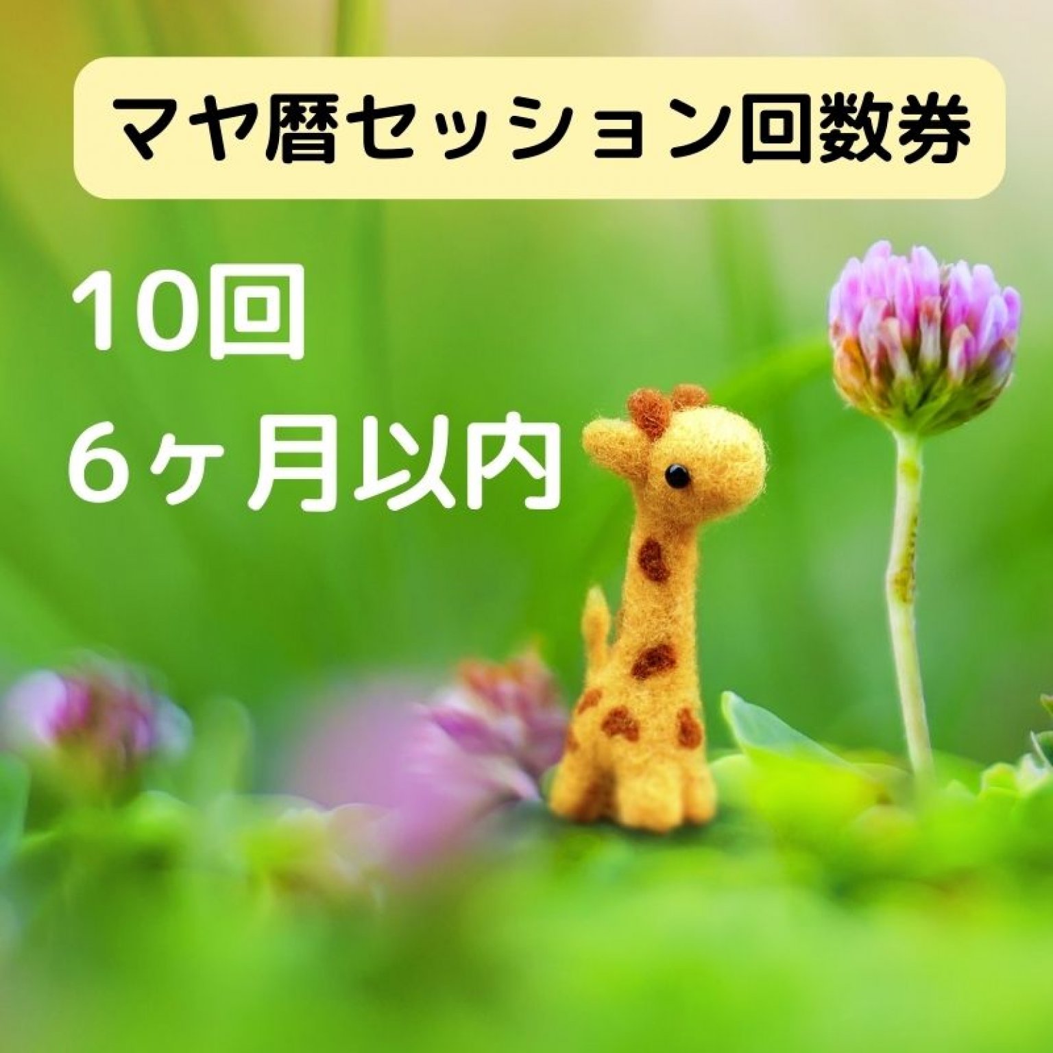 マヤ暦セッション（zoom・対面）60分　セッション実績750人のアドバイザーが読み解く、あなたの特徴・使命