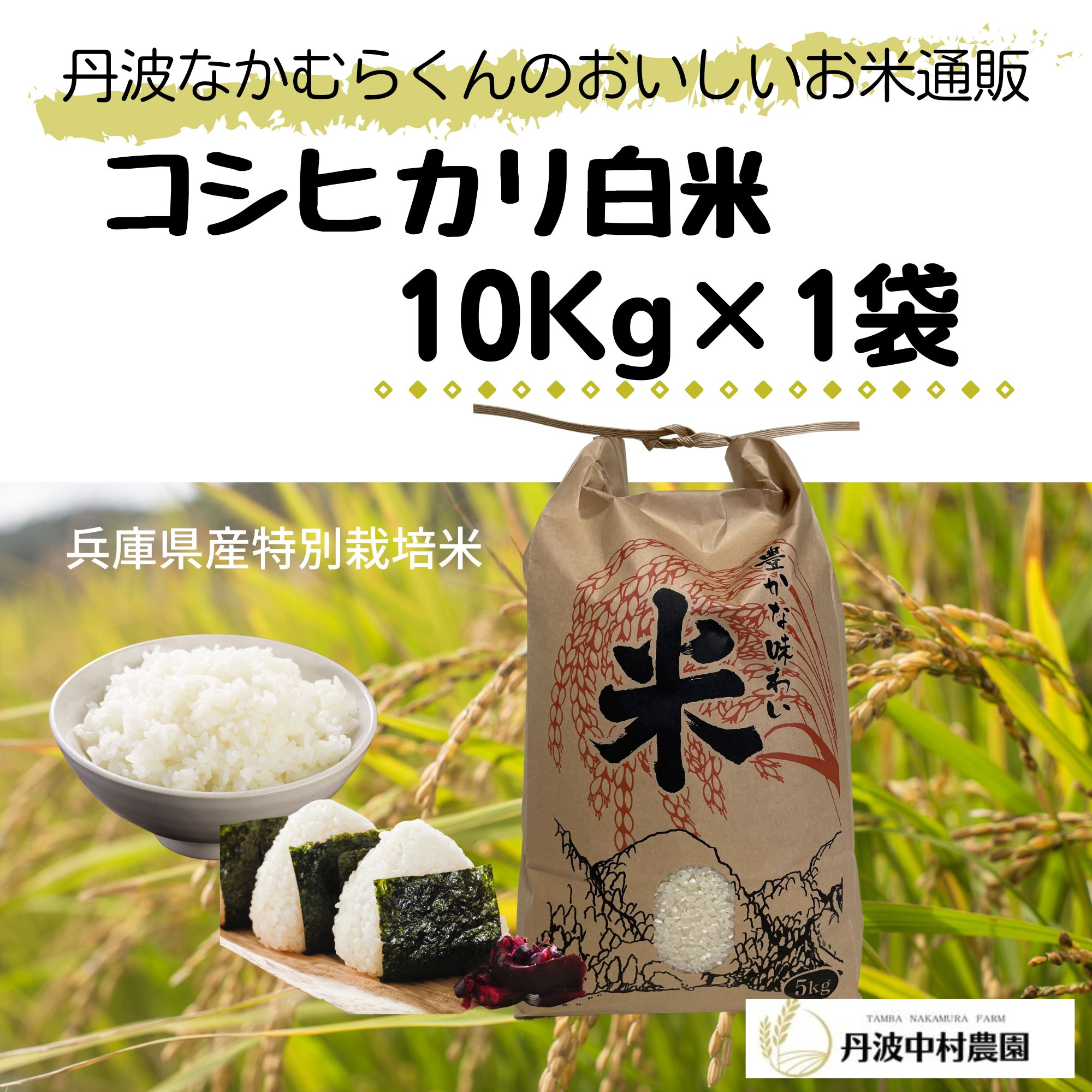 コシヒカリ10㎏選べる精米歩合】令和4年産米/つきたて直送/≪兵庫県