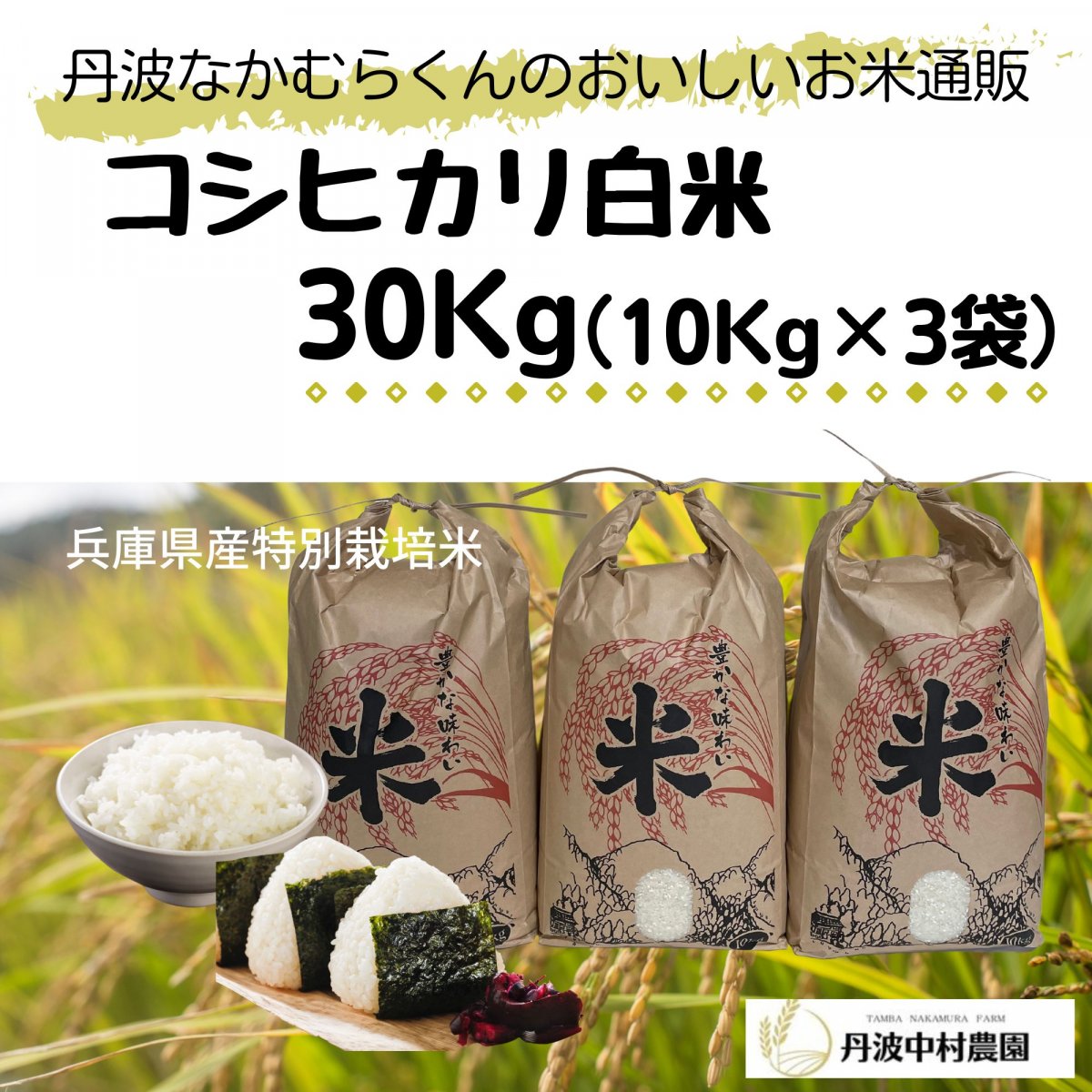 【コシヒカリ30㎏選べる精米歩合】令和5年産米/つきたて直送