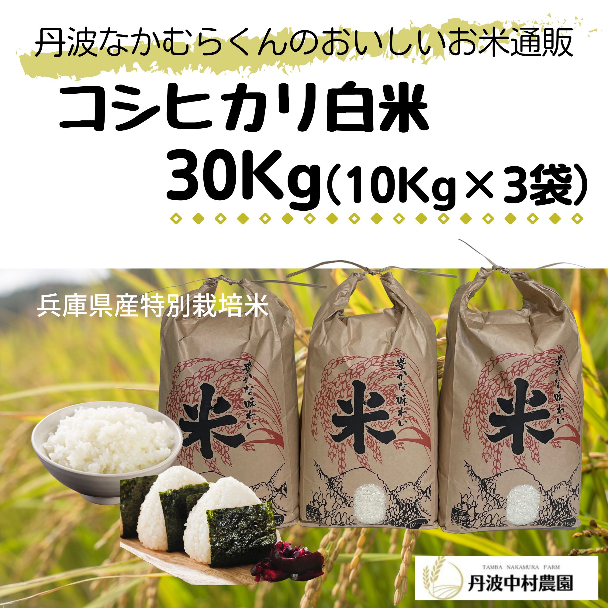 令和３年度　兵庫県淡路島産コシヒカリ 20kg 玄米　古古米
