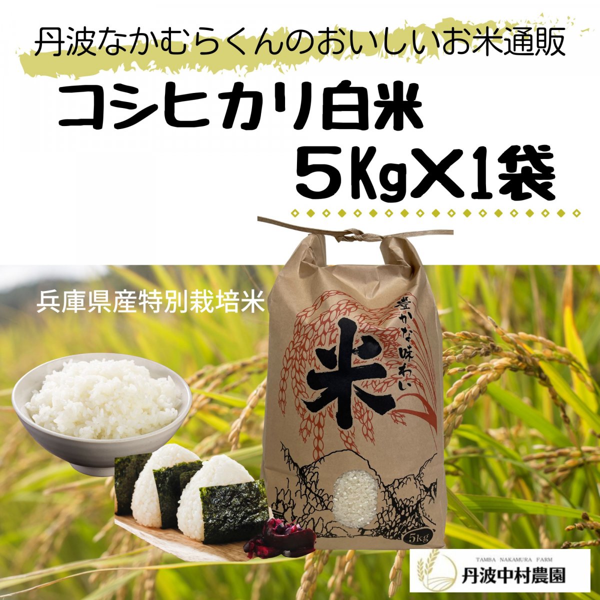 【コシヒカリ5㎏選べる精米歩合】令和5年産米/つきたて直送/≪兵庫県丹波市産特別栽培米≫なかむらくんのおいしいお米